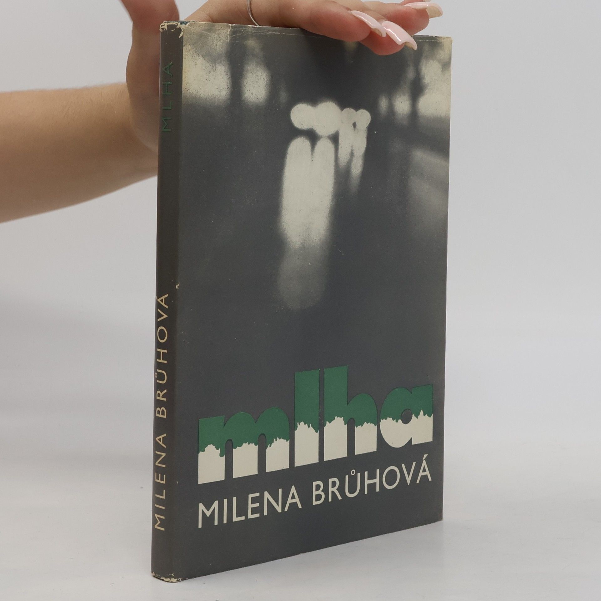 Brůhová Milena Mlha