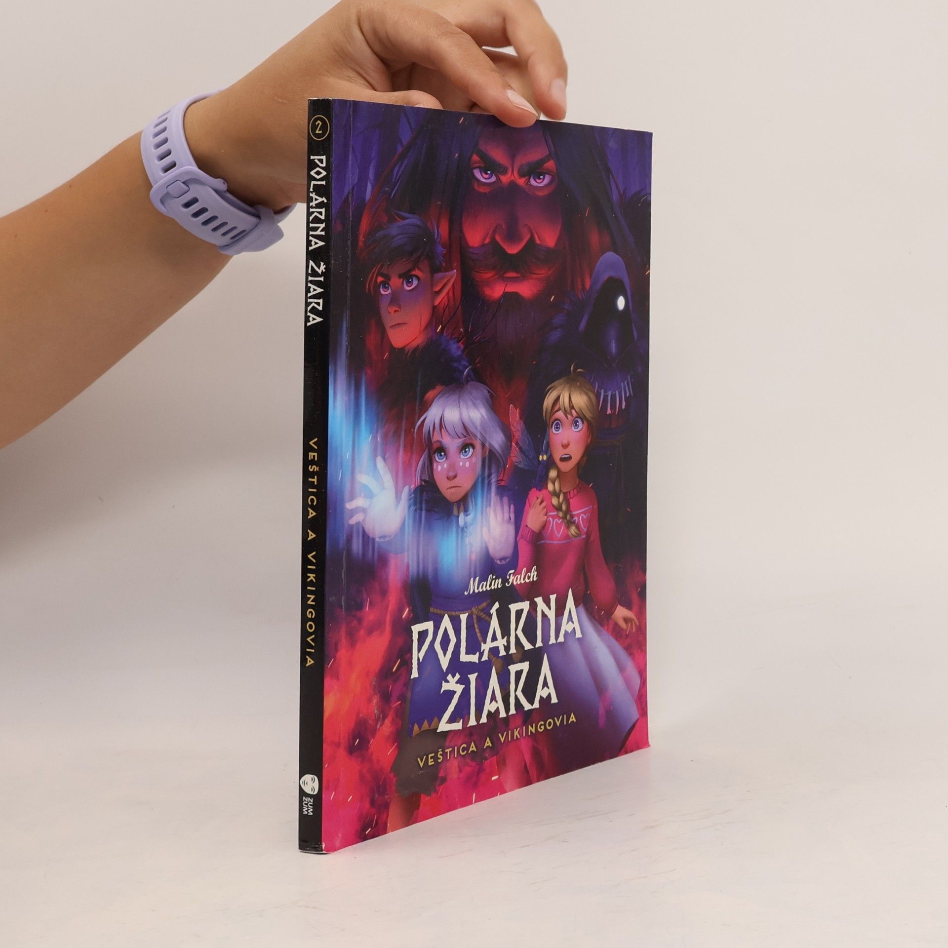 Malin Falch Polárna žiara. Veštica a vikingovia