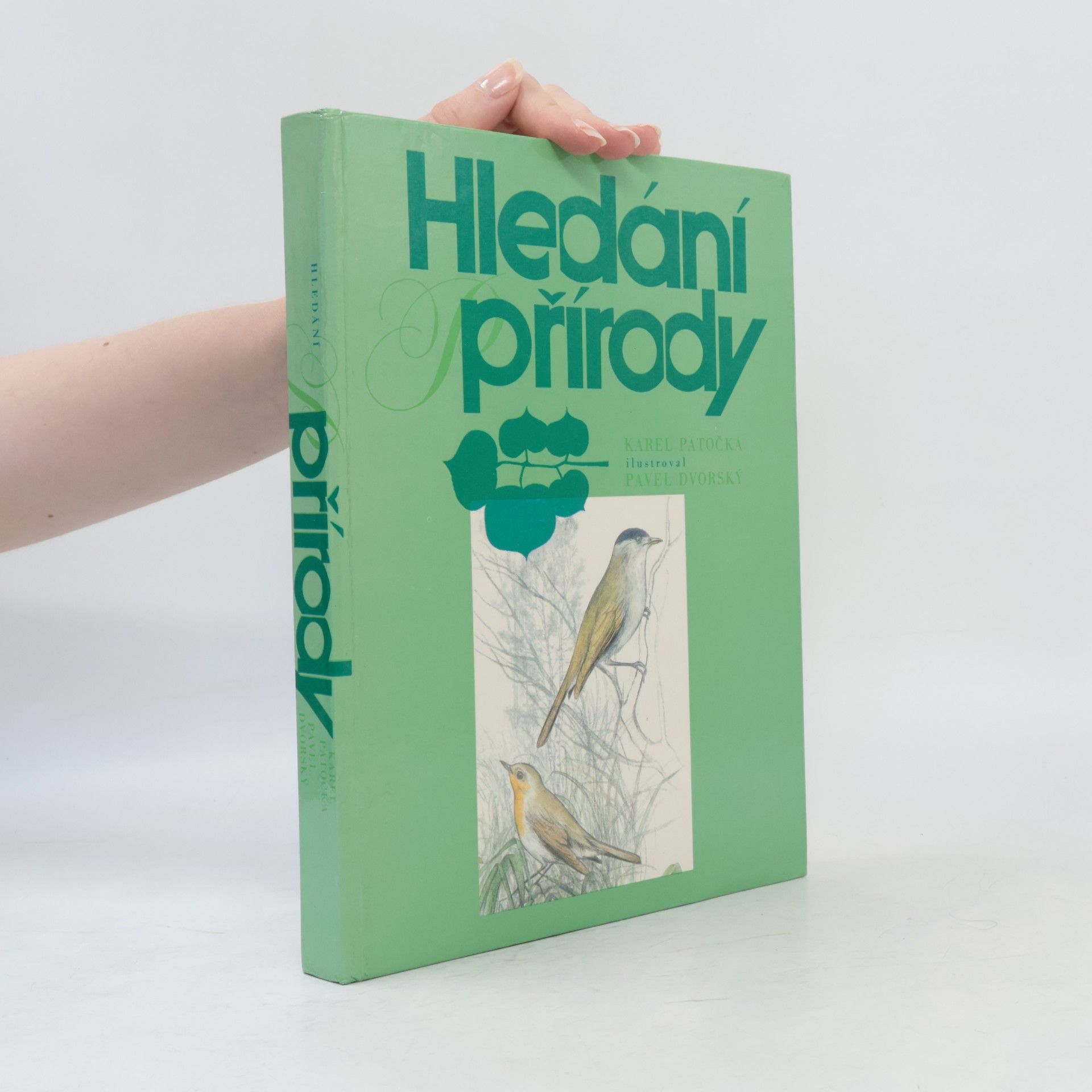 Karel Patočka Hledání přírody