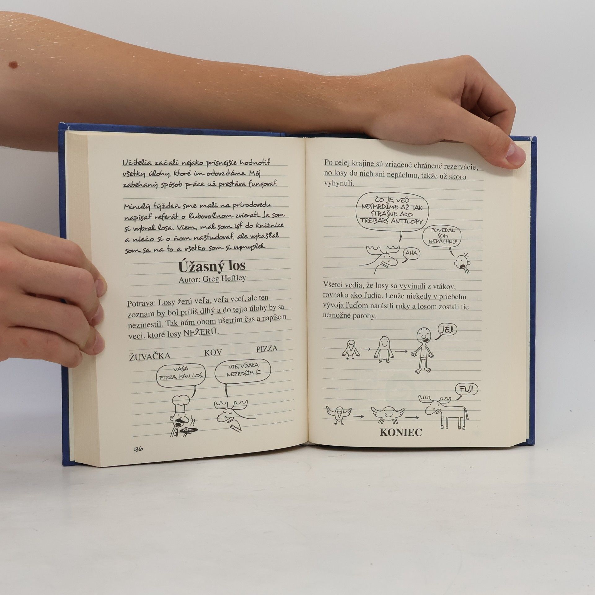 Jeff Kinney Deník odvážneho bojka 2. Rodrick je šéf