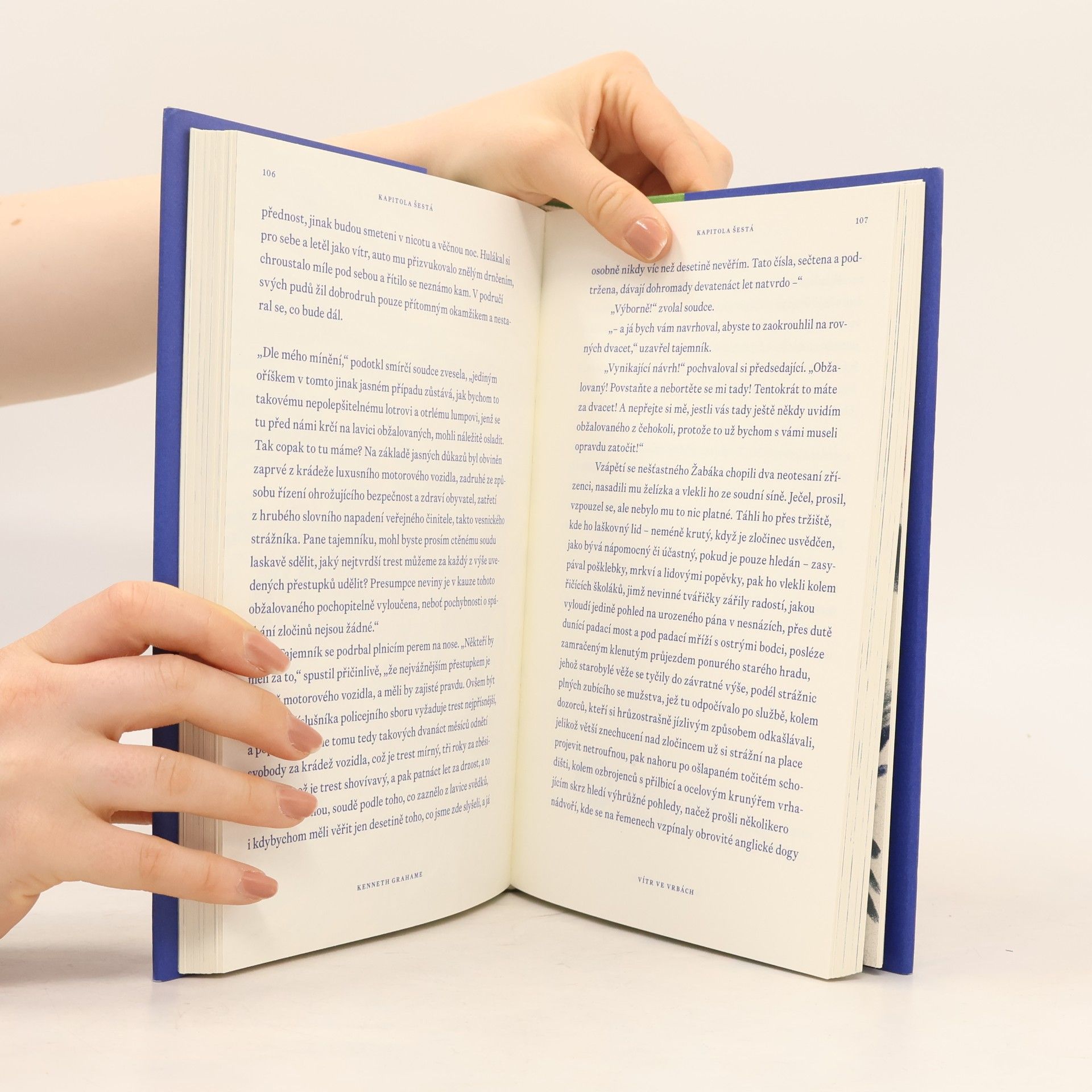 Kenneth Grahame Vítr ve vrbách, aneb, Dobrodružství pana Žabáka a jeho přátel od řeky