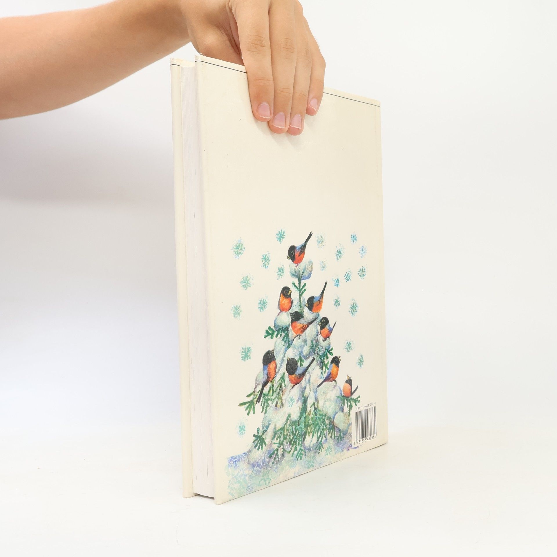 Vratislav Šťovíček The Book of Goodnight Stories