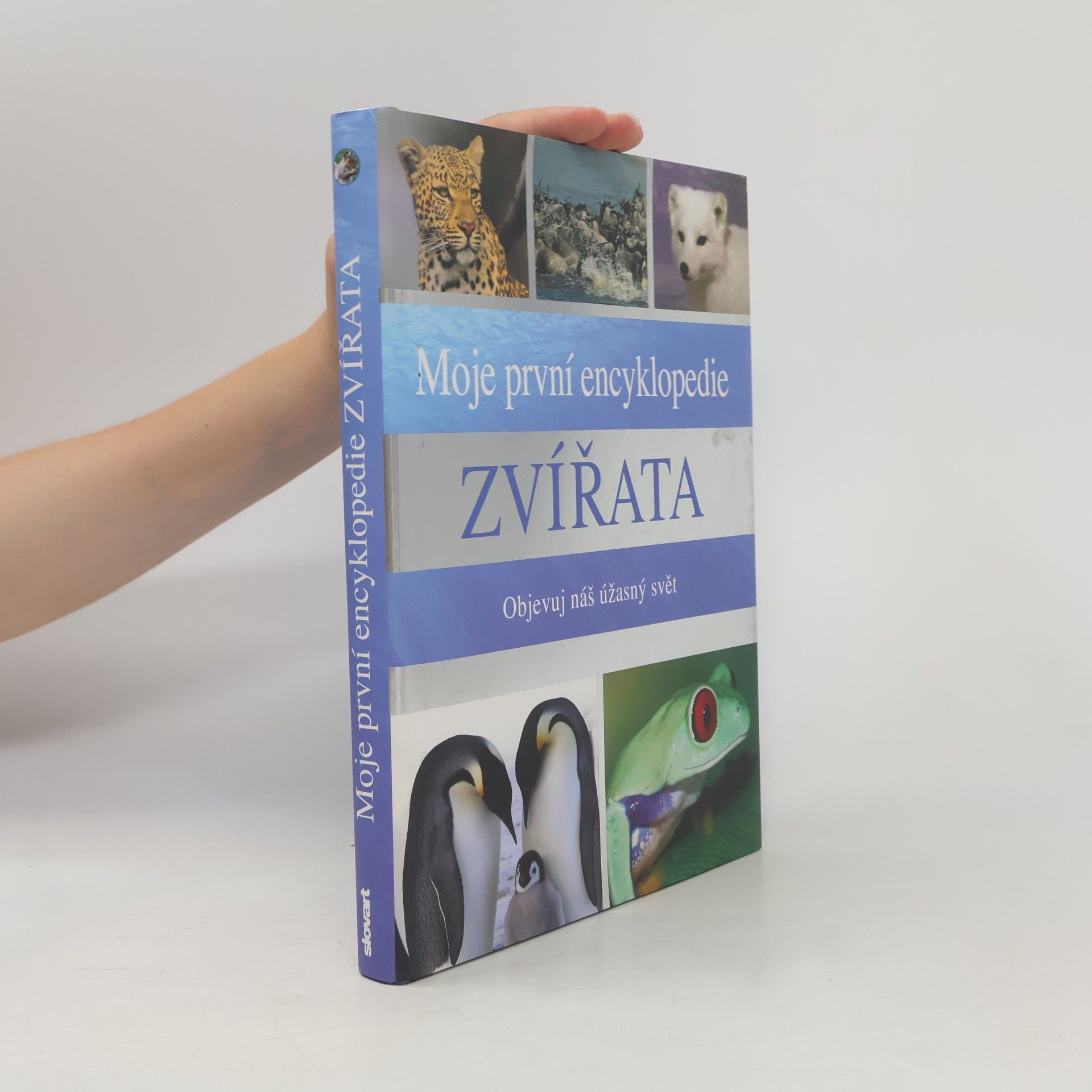 Sally Morgan Moje první encyklopedie - Zvířata: Objevuj náš úžasný svět