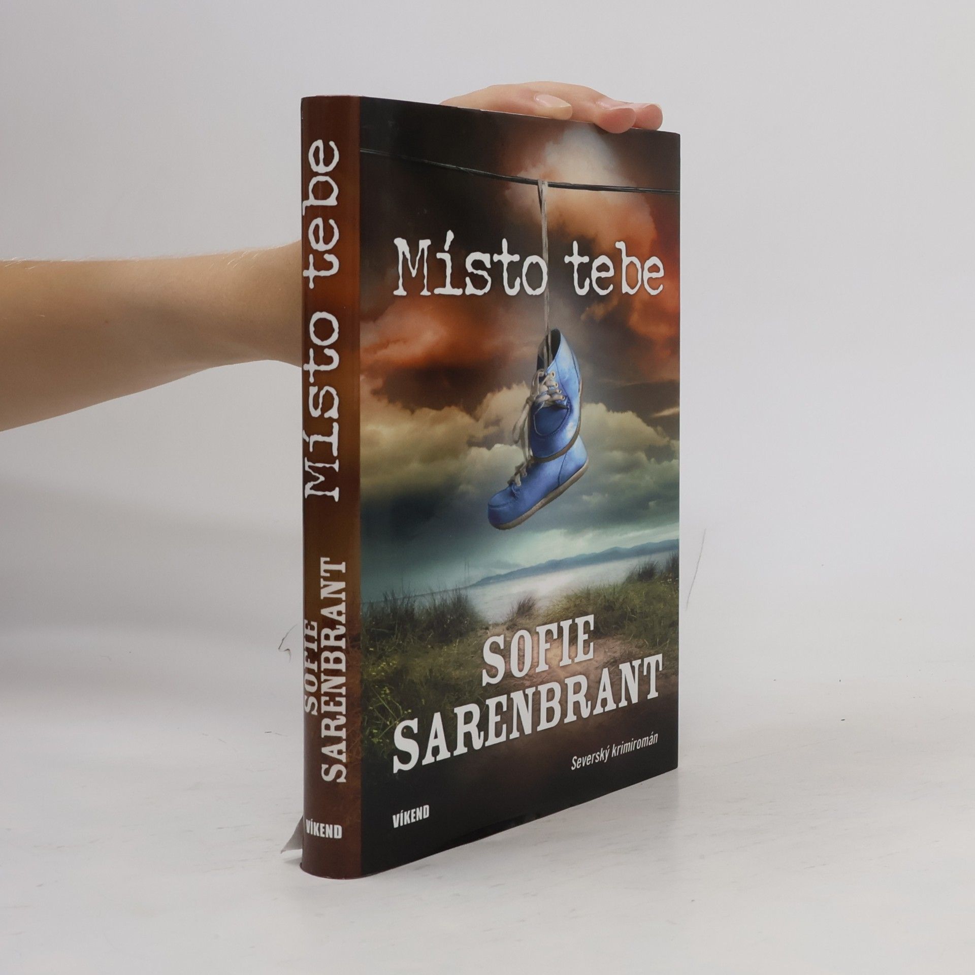 Sofie Sarenbrant Místo tebe