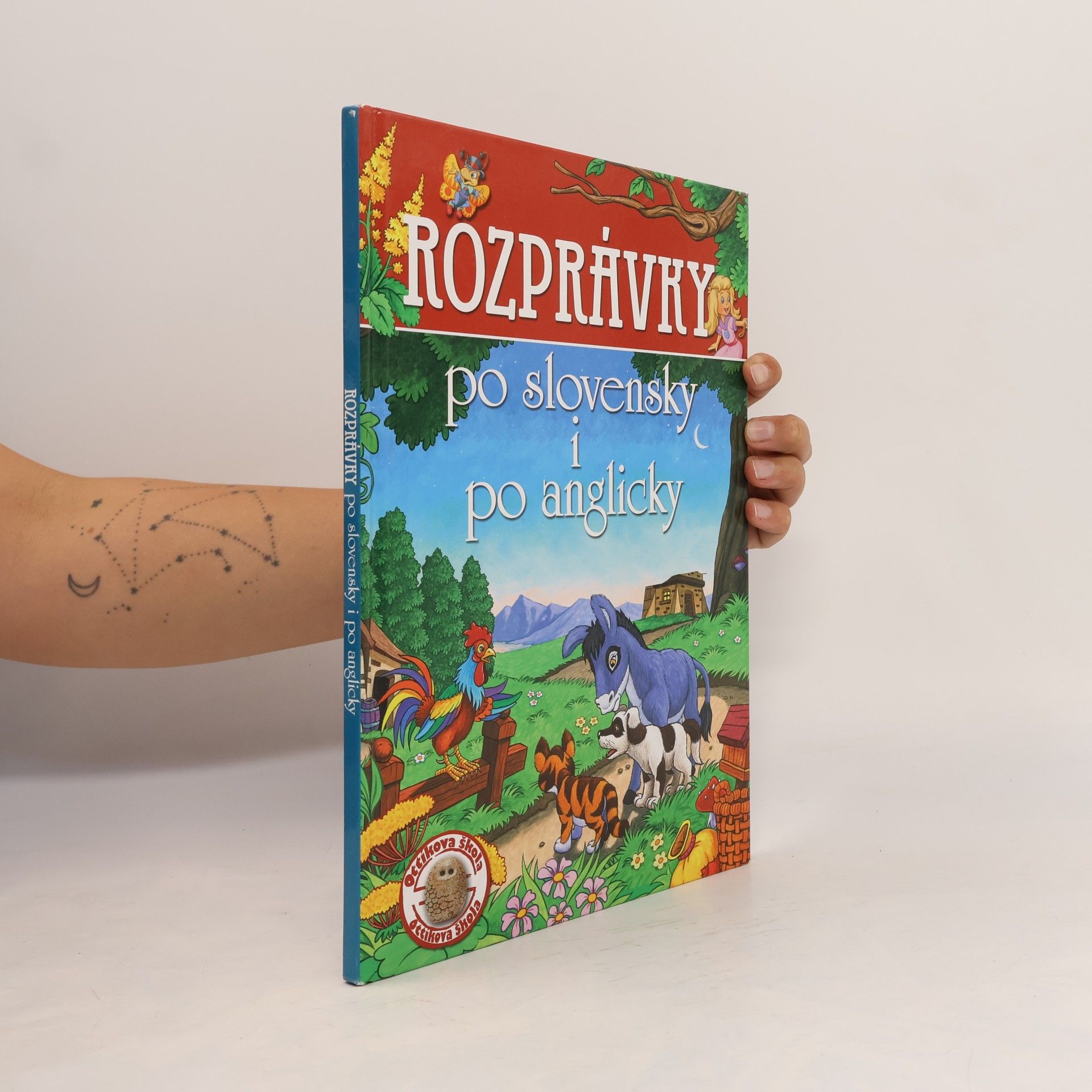 Autorenkollektiv Rozprávky po slovensky i po anglicky