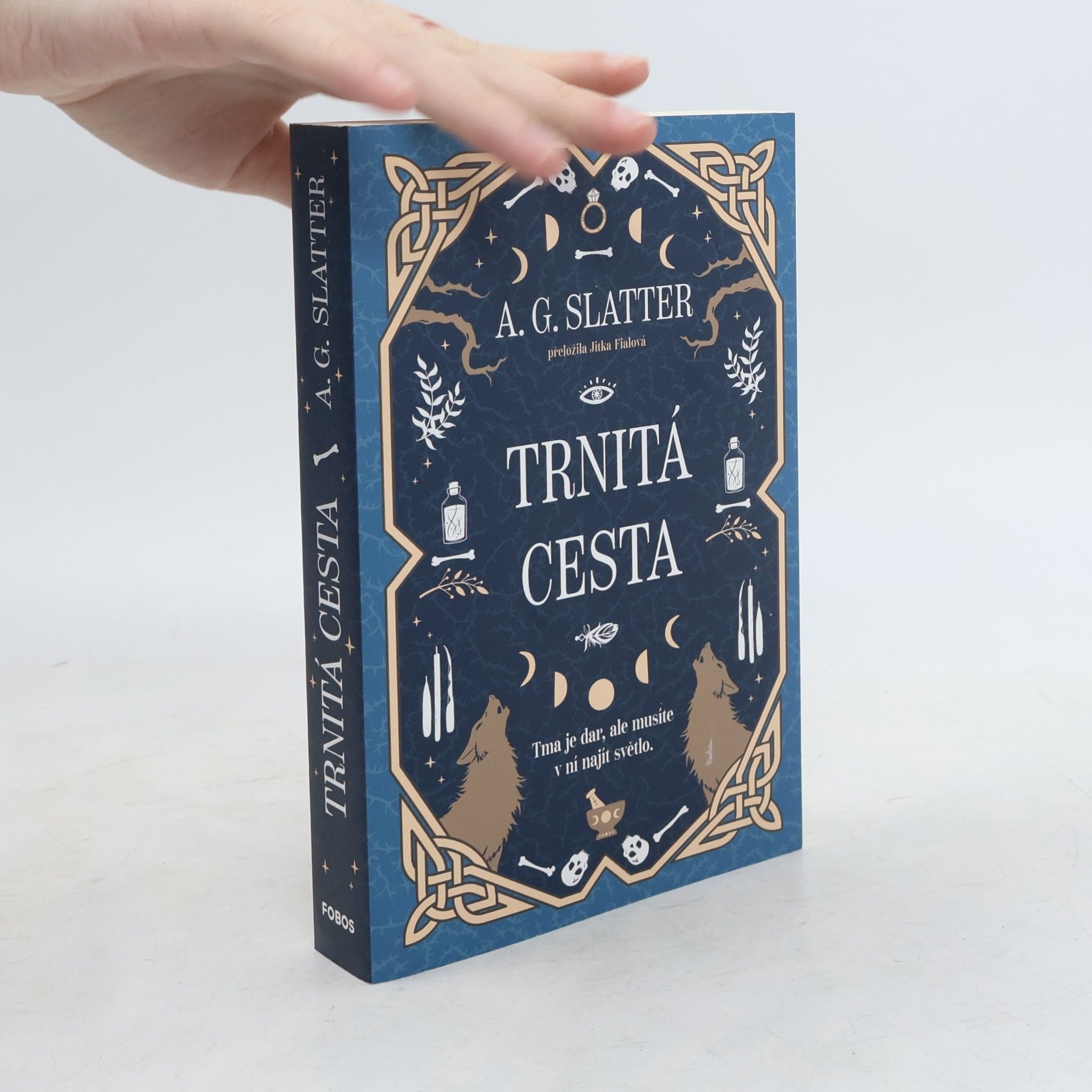 Trnitá cesta