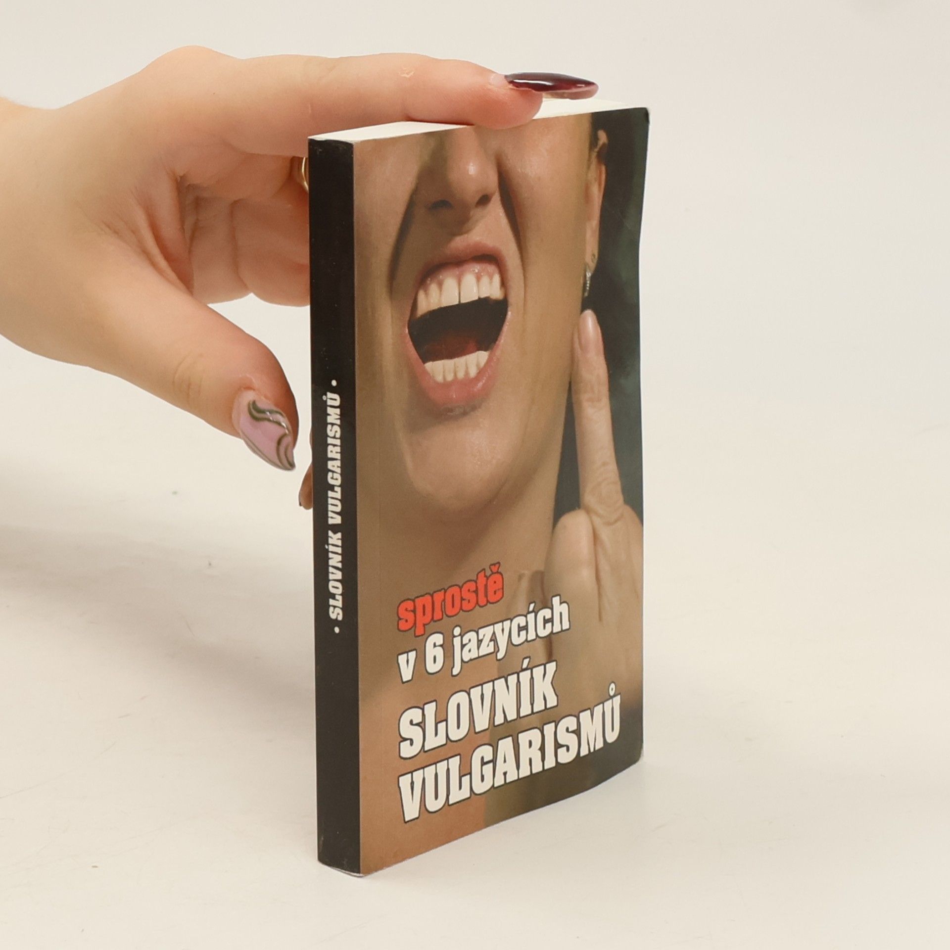 Kryštof Bajger Slovník vulgarismů : sprostě v 6 jazycích