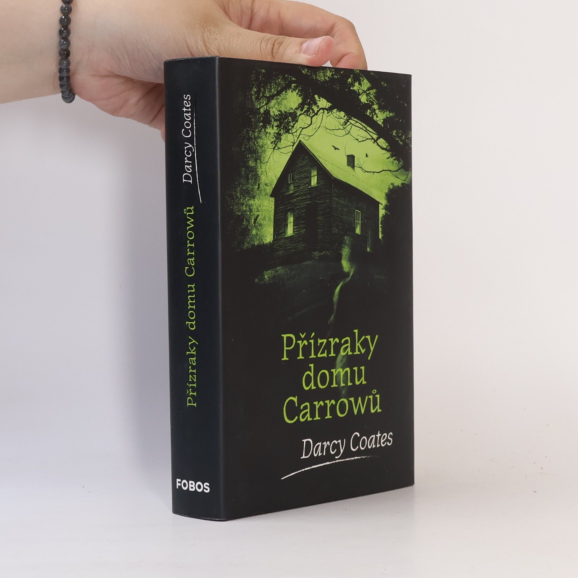 Darcy Coates Přízraky domu Carrowů