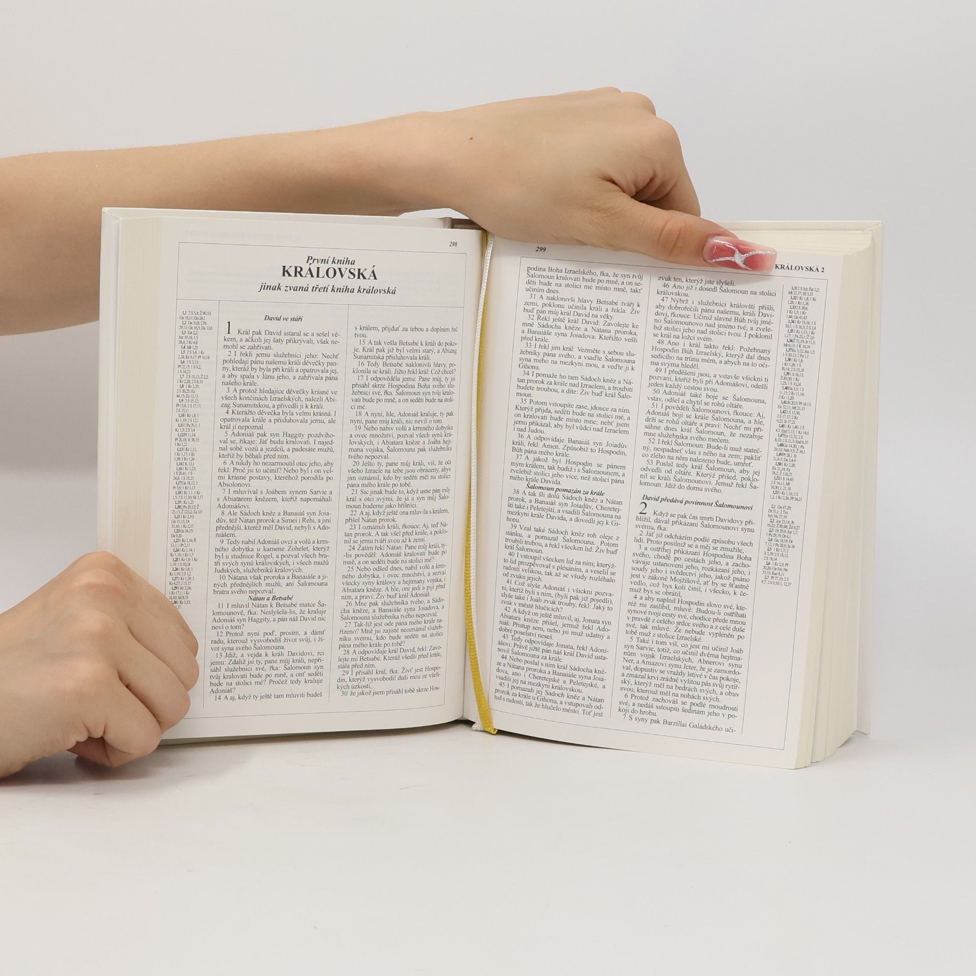 Kolektiv autorů Bible Kralická. Starý a Nový zákon