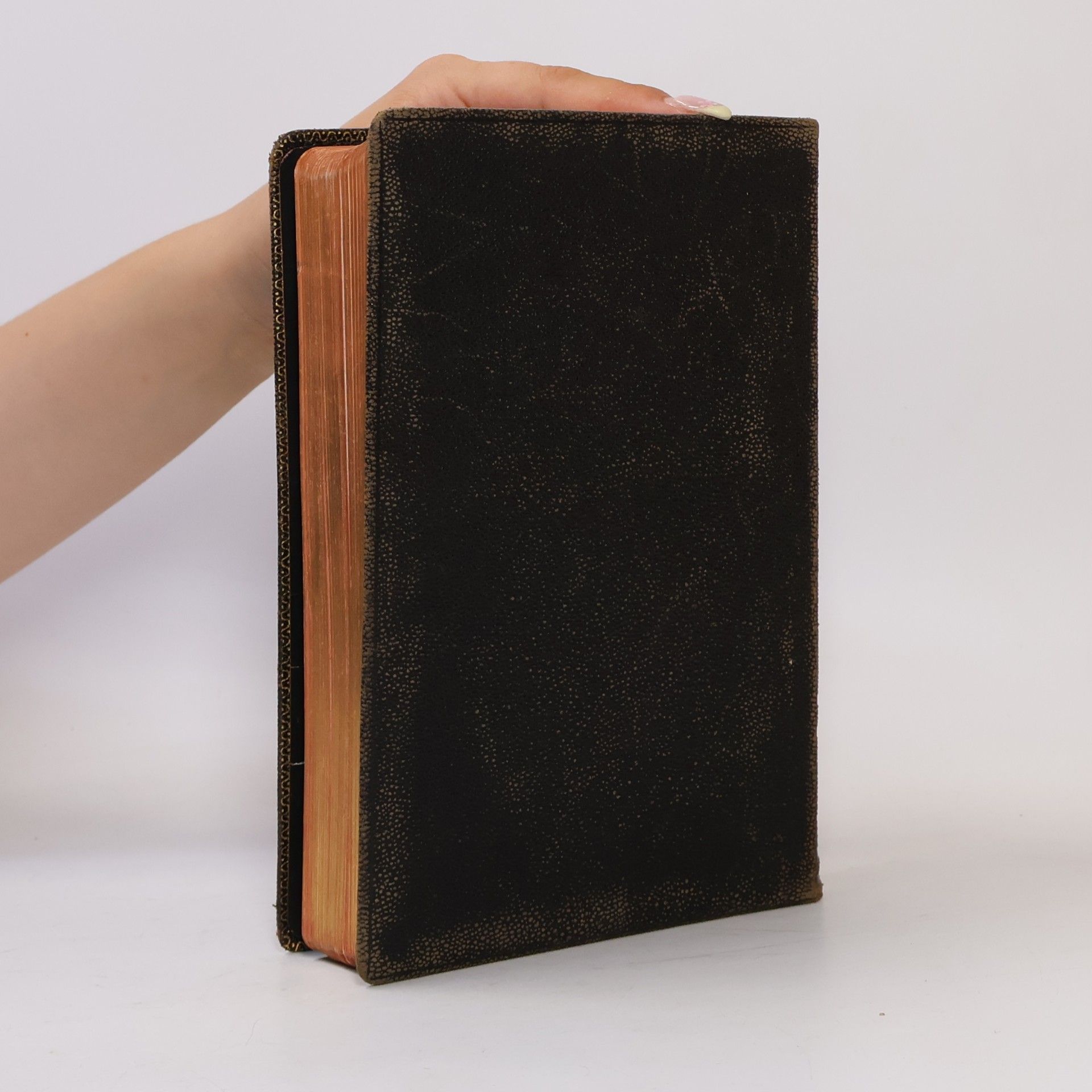 Various authors The New Testament