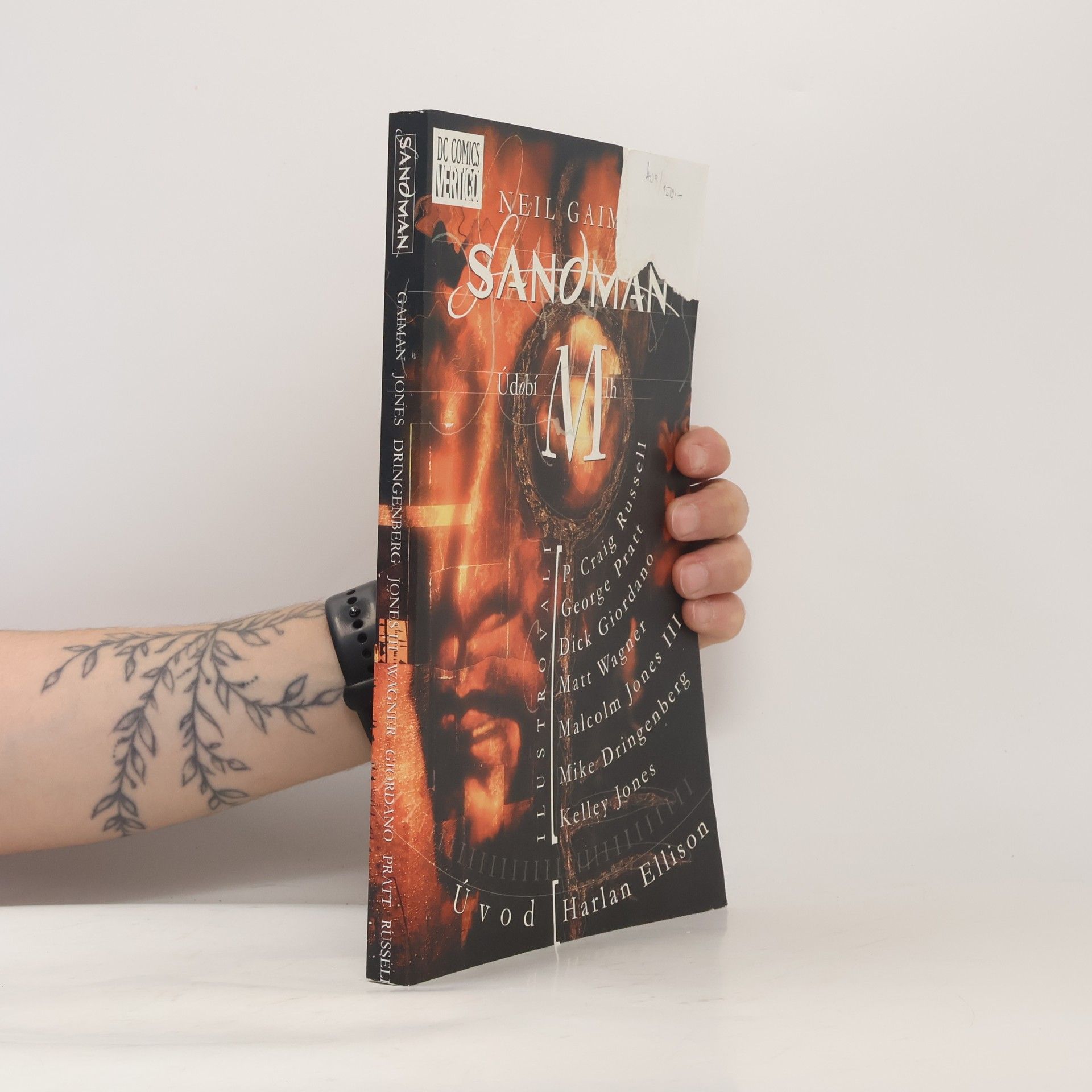 Neil Gaiman Sandman. Údobí mlh