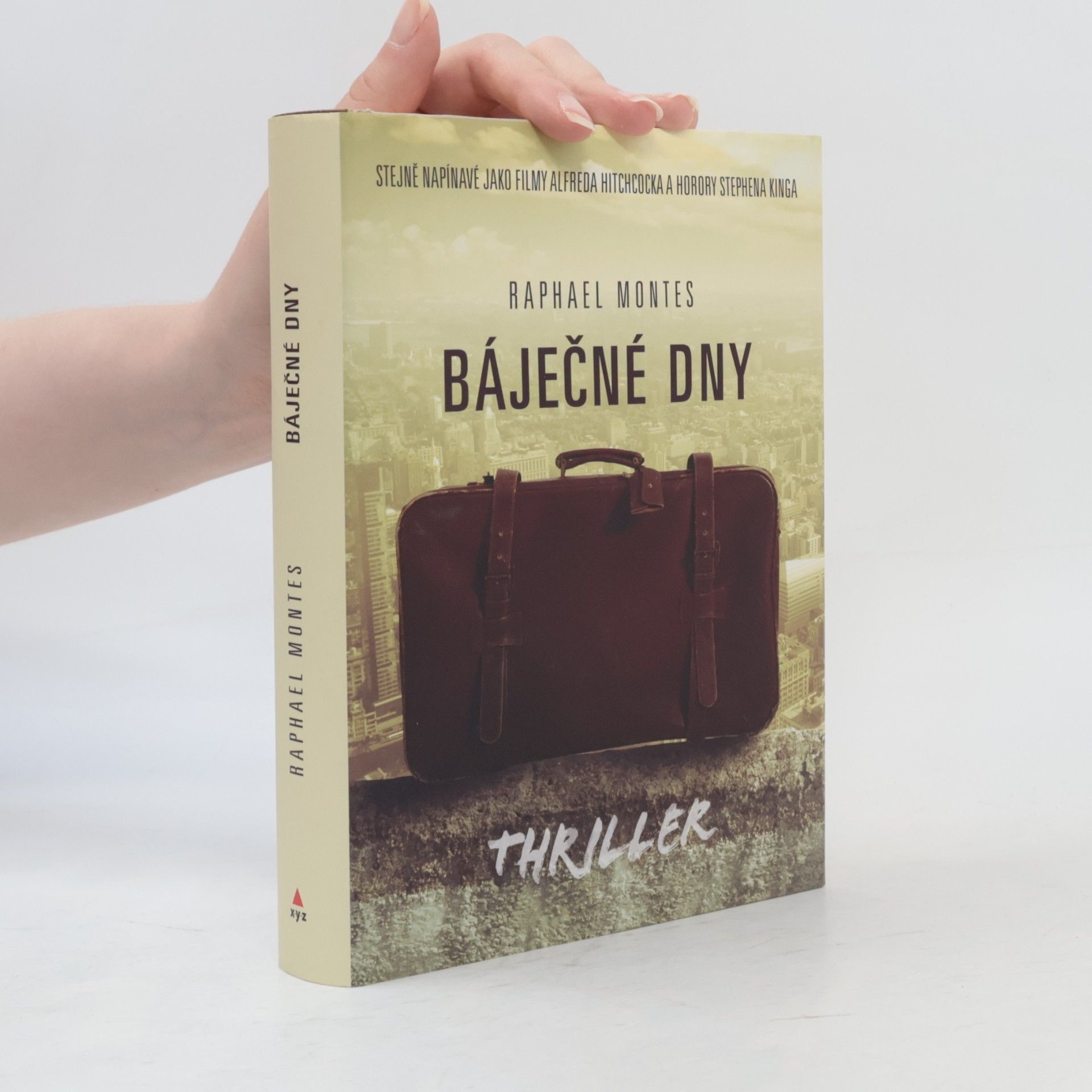 Raphael Montes Báječné dny