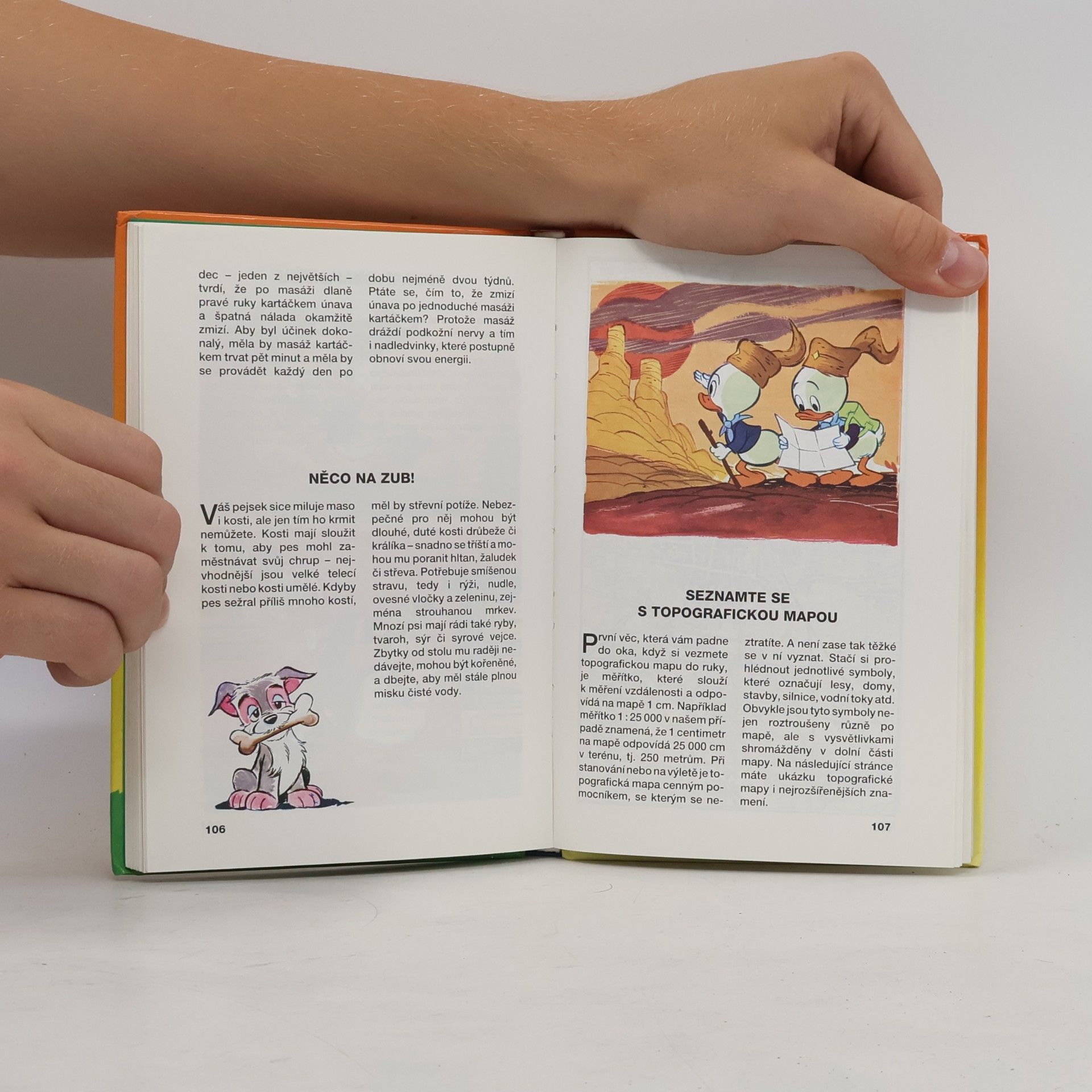 Walt Disney 6. příručka mladých svišťů