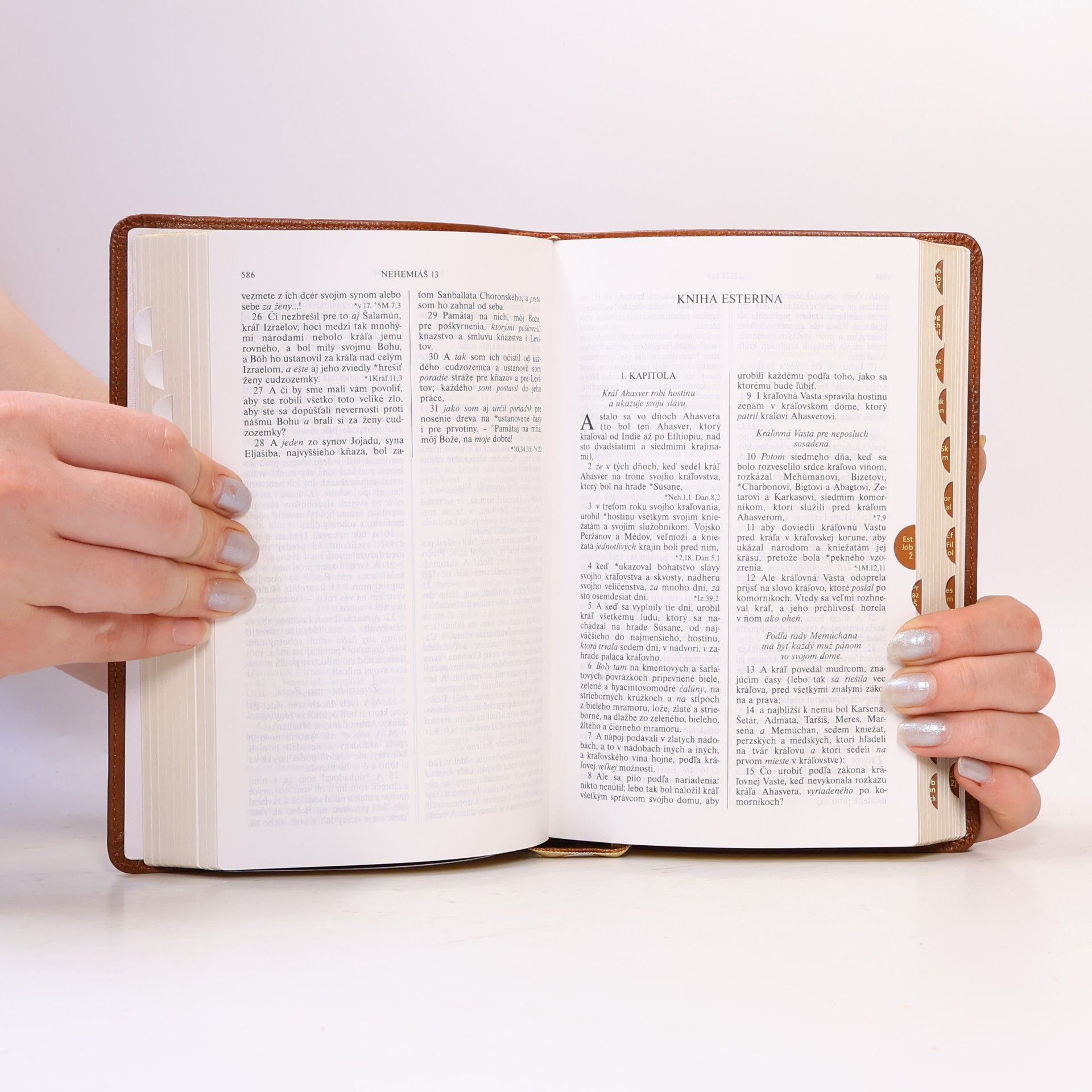 Kolektiv autorů Svätá Biblia