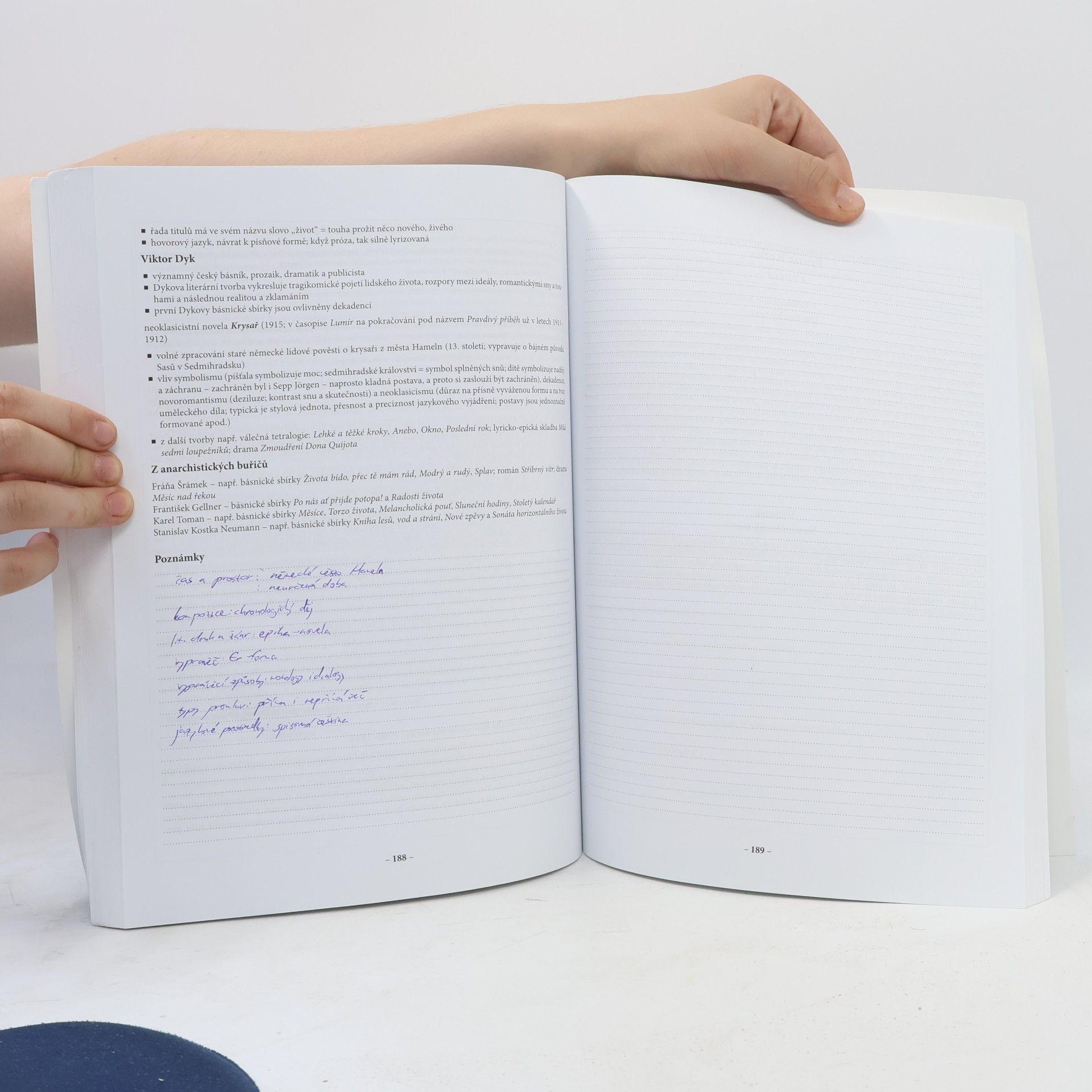 Michal Martoch Maturita z českého jazyka a literatury: Učebnice a cvičebnice k ústní maturitní zkoušce