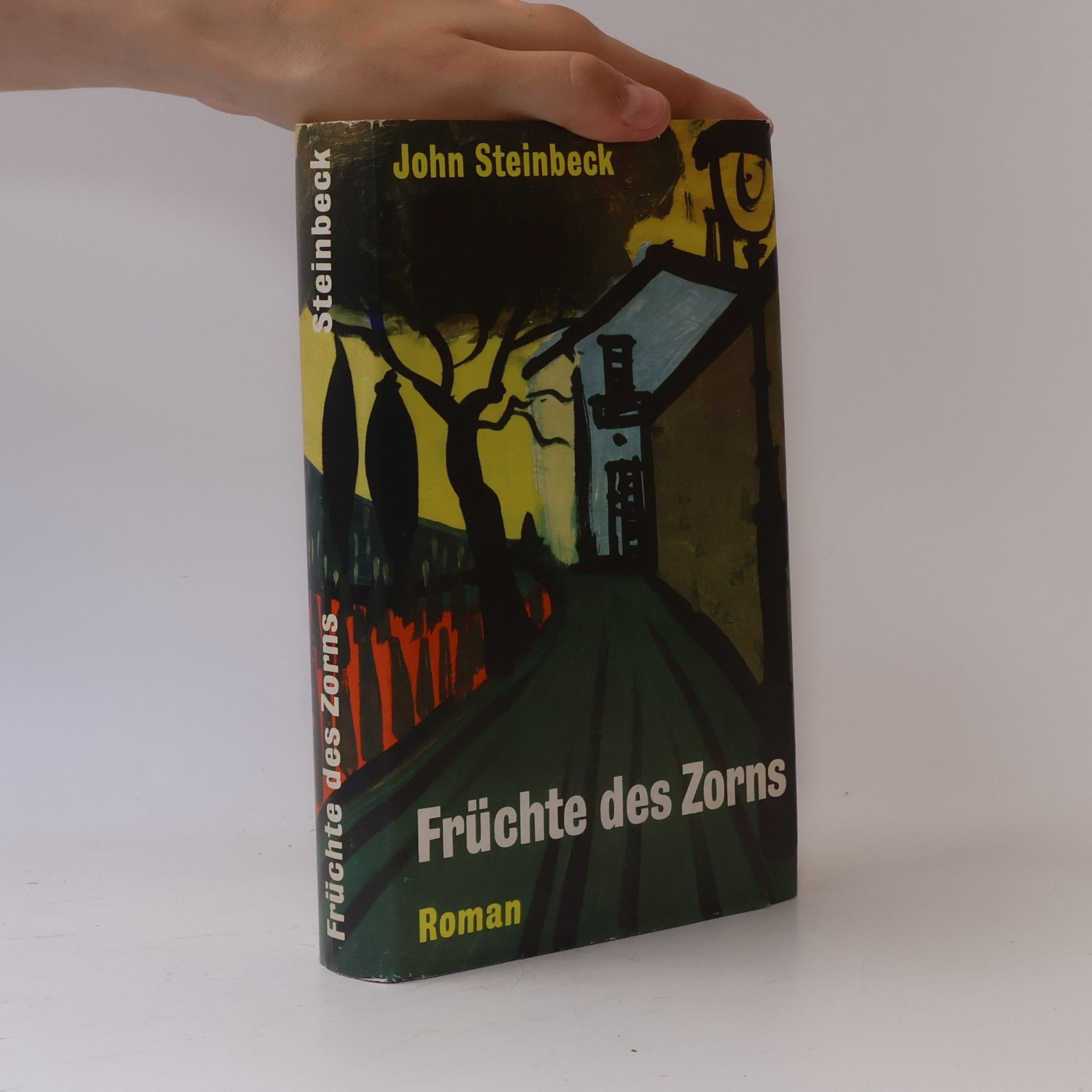 John Steinbeck Früchte des Zorns
