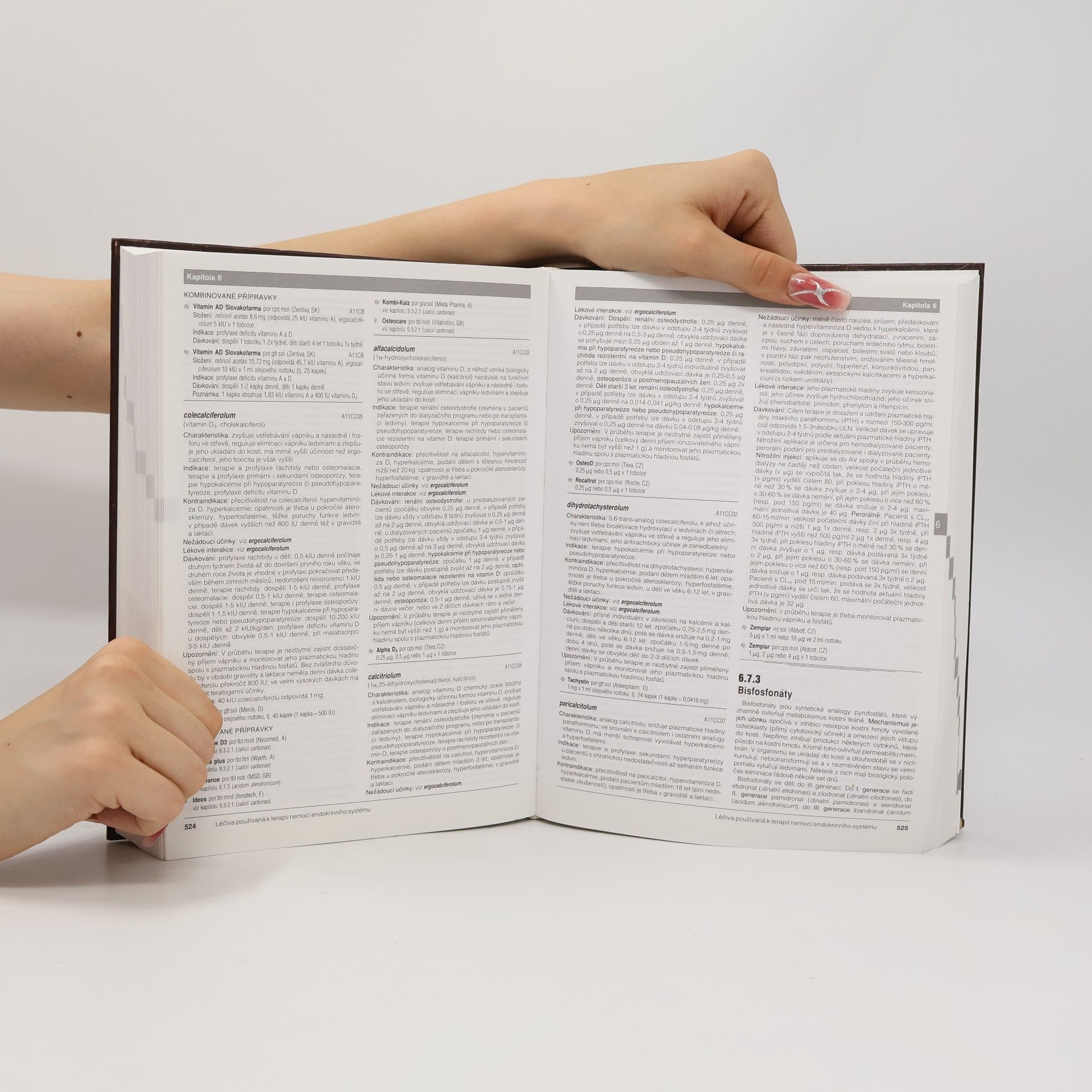 Kolektiv autorů Remedia compendium