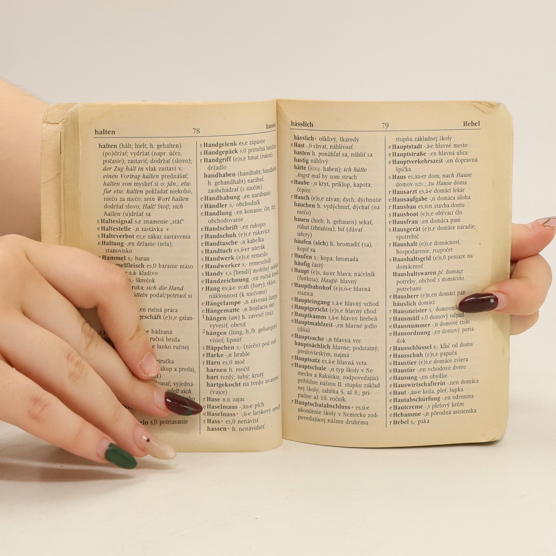 Autorenkollektiv Wörterbuch 2000 - nemecko-slovenský, slovensko-nemecký slovník