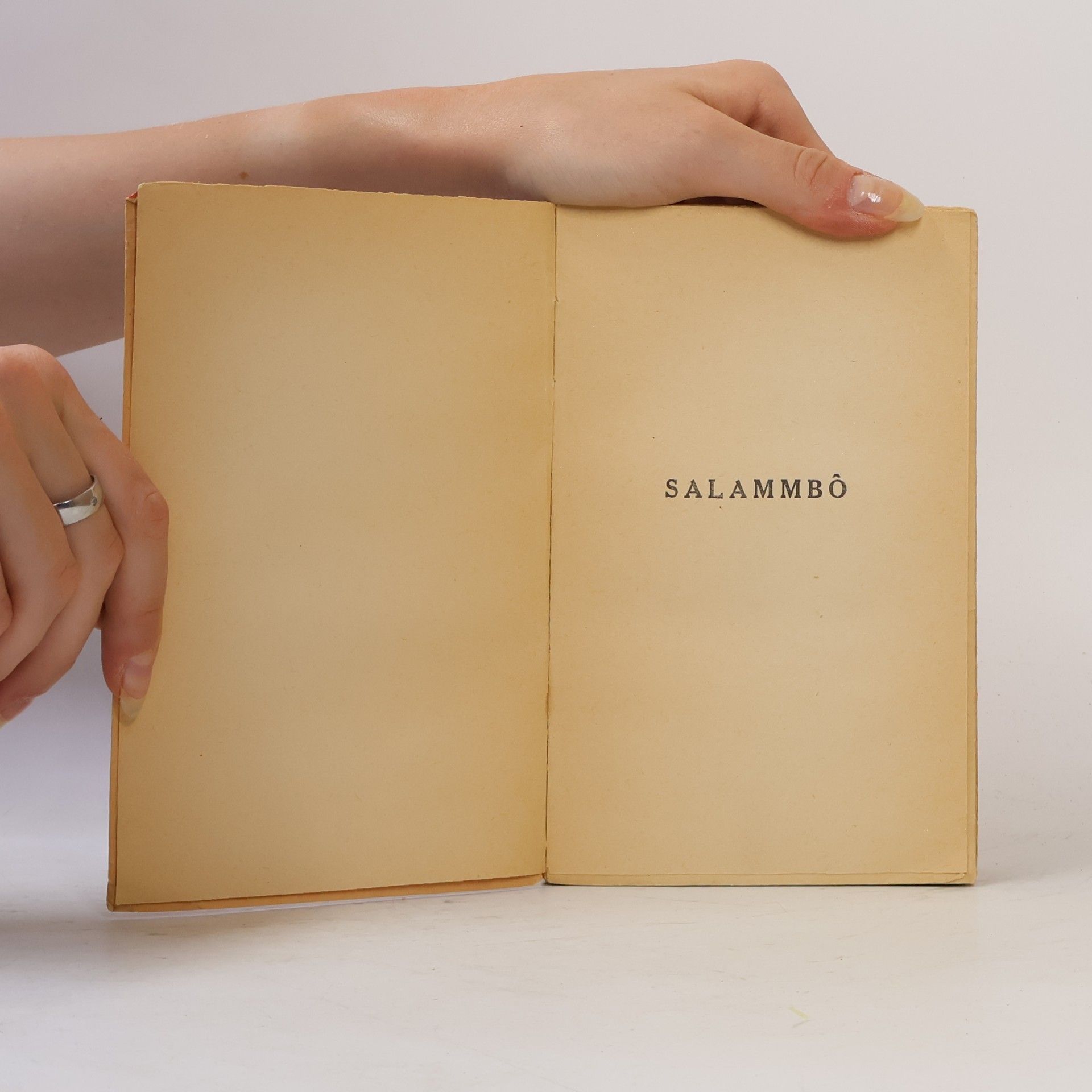 Gustave Flaubert Salammbô