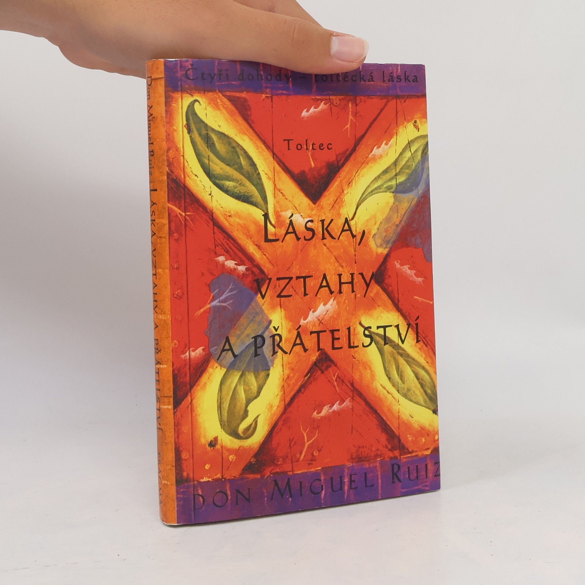 Don Miguel Ruiz Láska, vztahy a přátelství