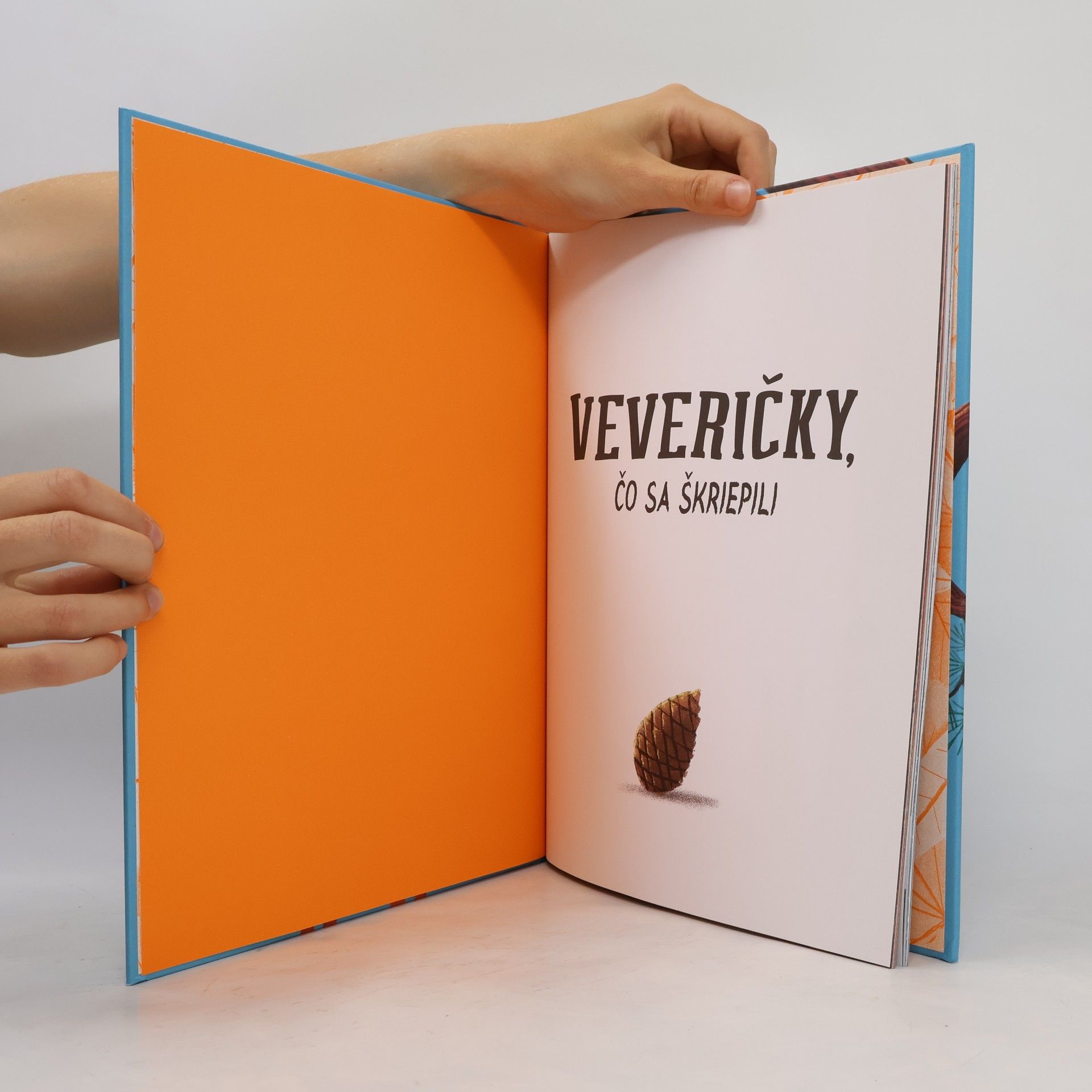 Rachel Bright Veveričky, čo sa škriepili