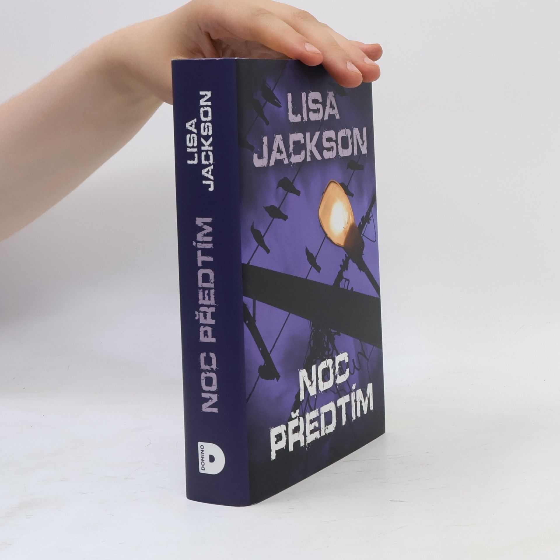 Lisa Jackson Noc předtím