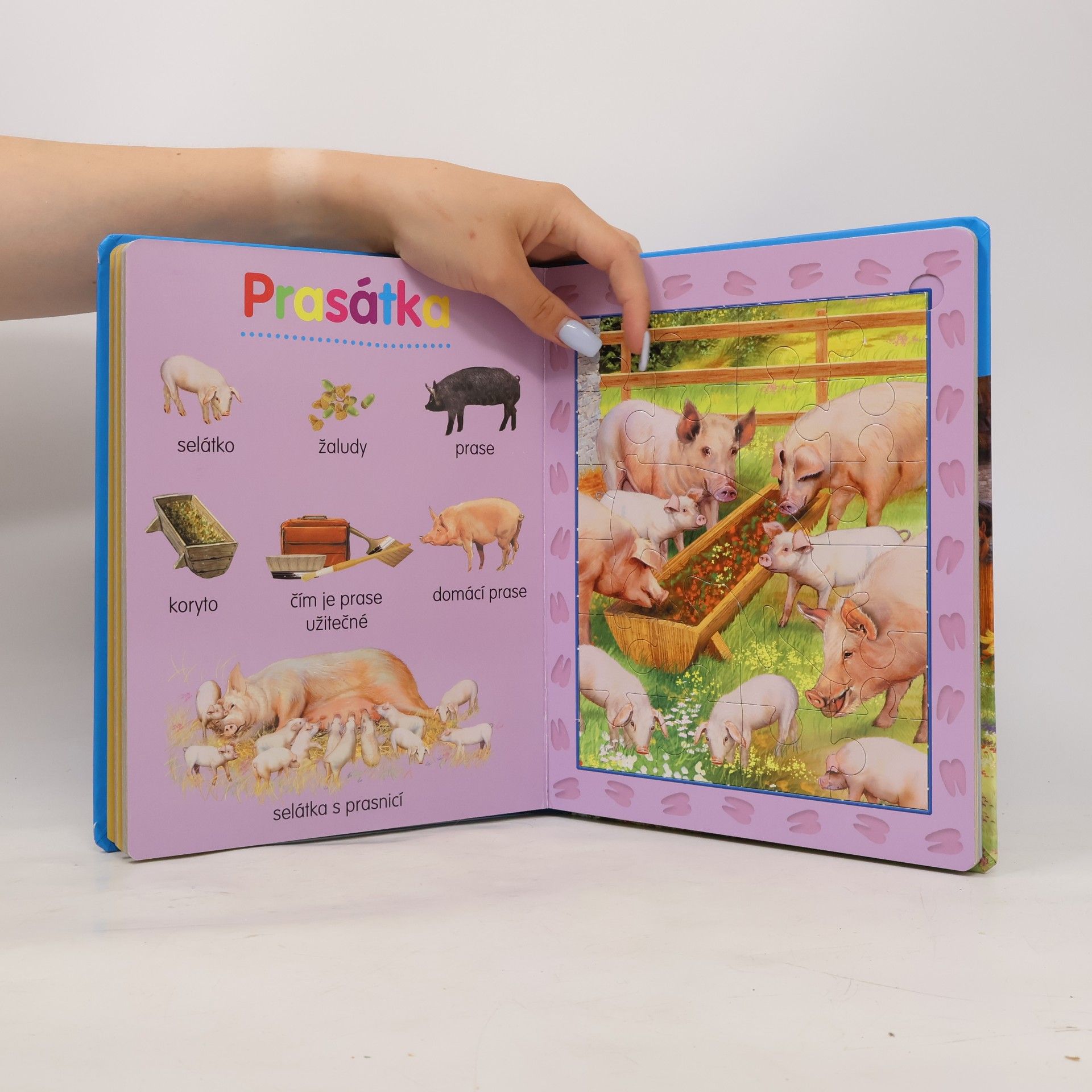 Marcela Grez Statek : 8x puzzle