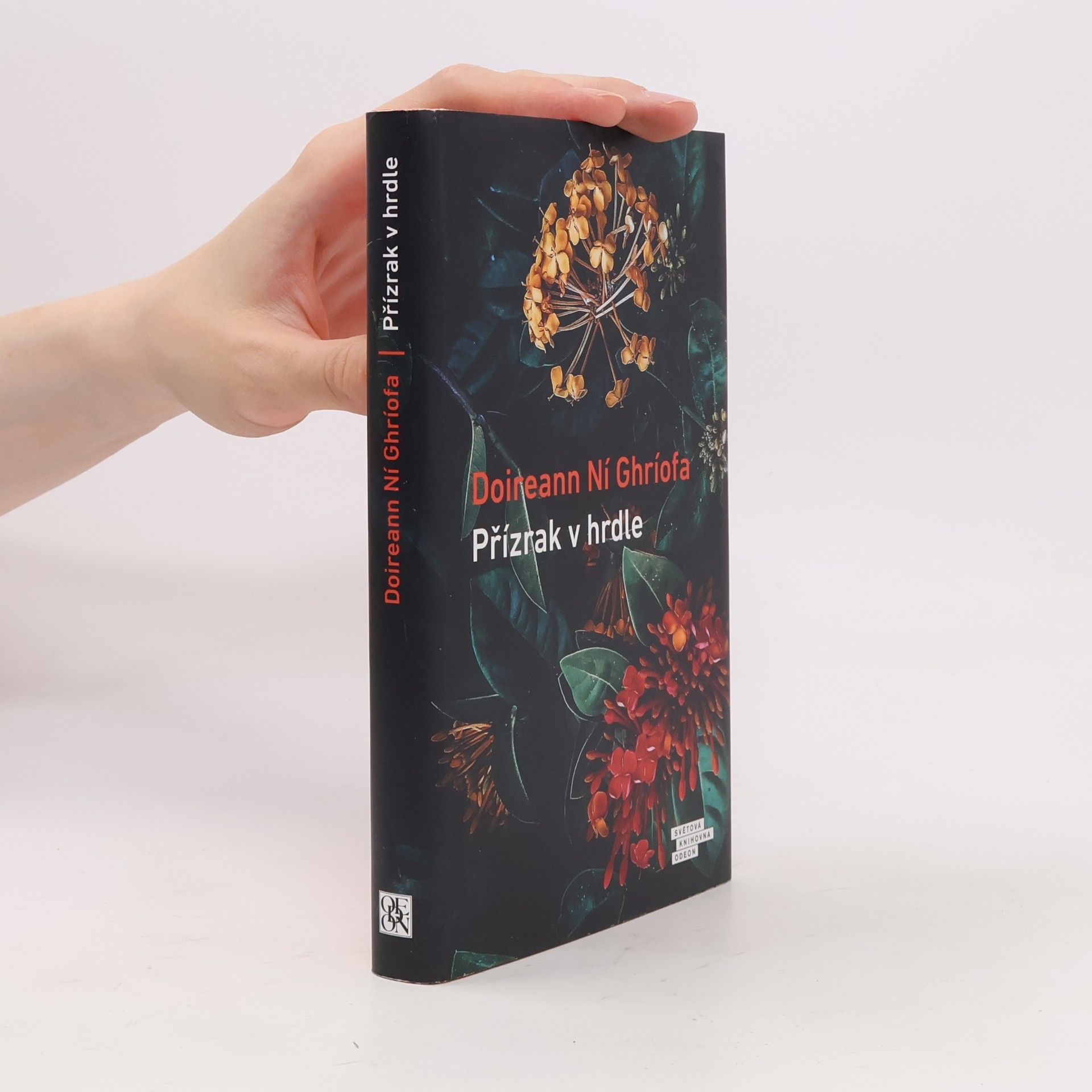 Doireann Ní Ghríofa Přízrak v hrdle