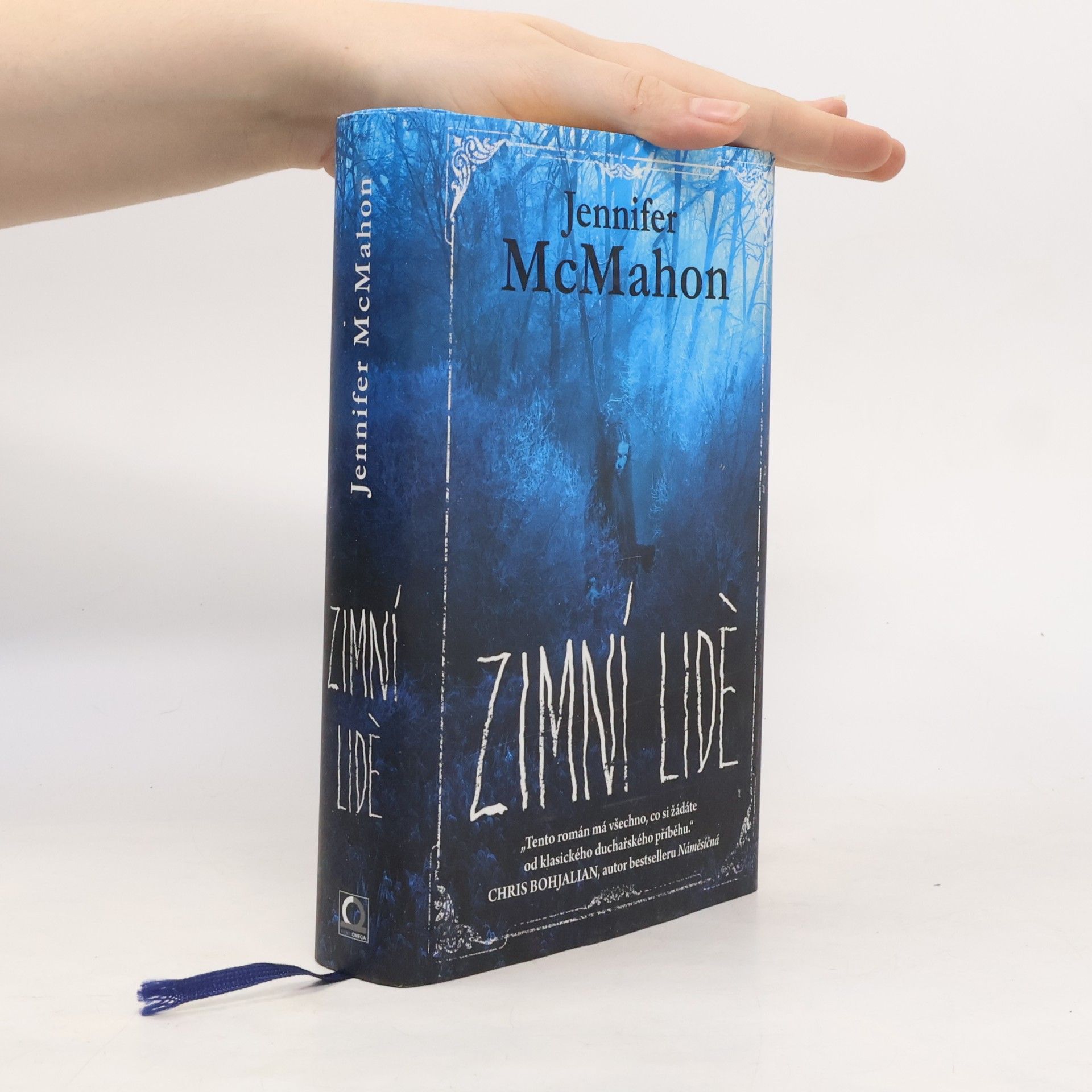Jennifer McMahon Zimní lidé
