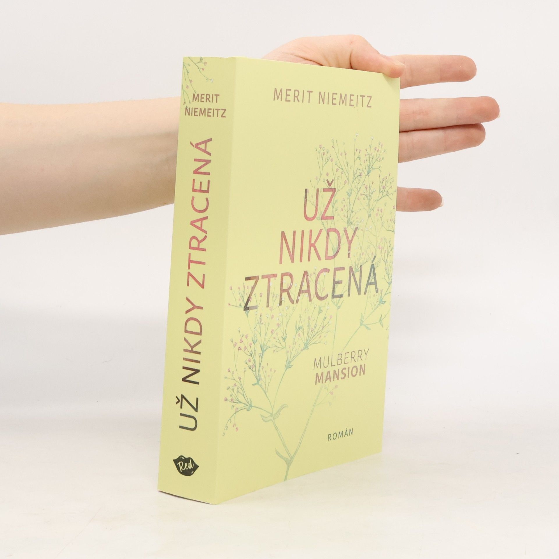 Merit Niemeitz Už nikdy ztracená