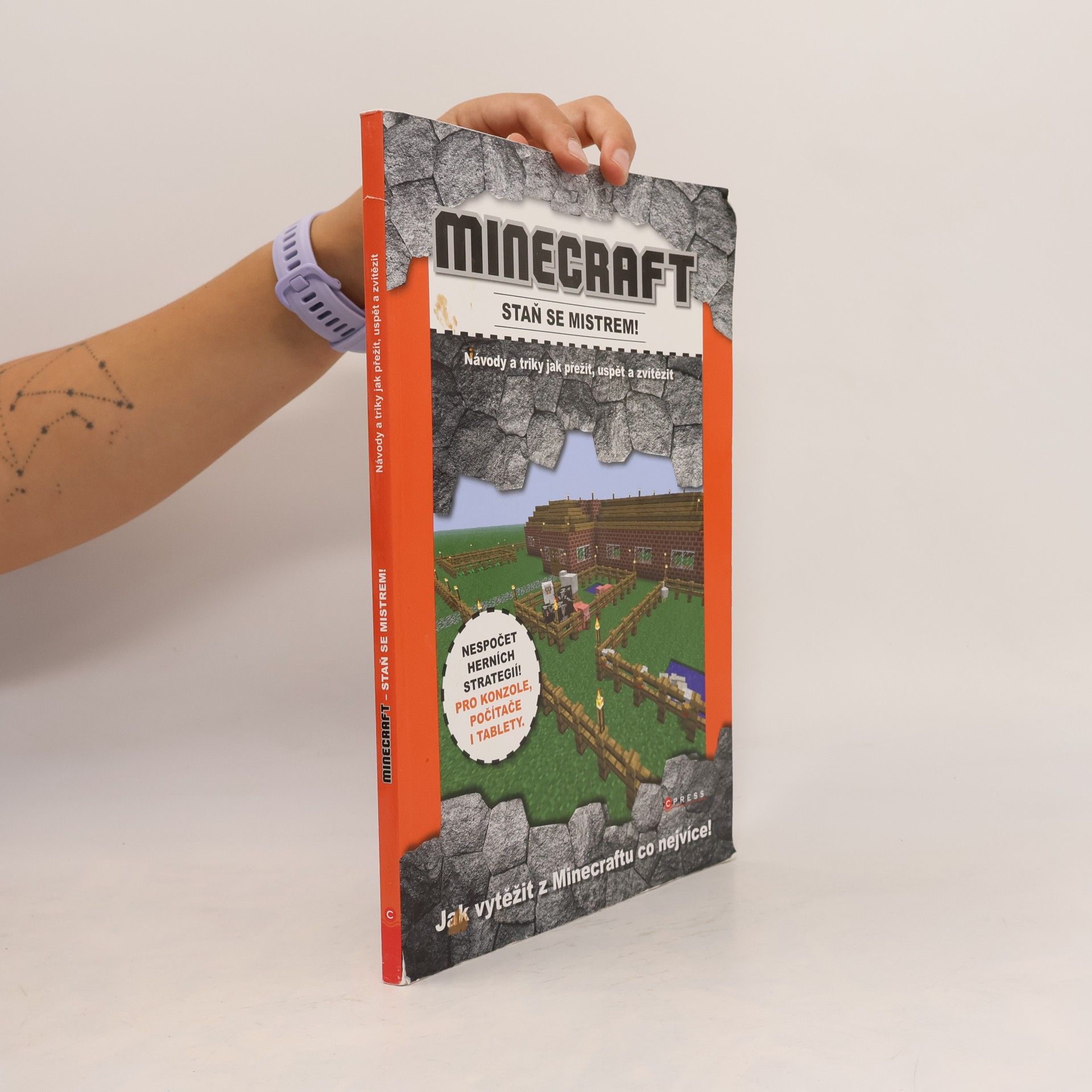 Jakub Kříž Minecraft: Staň se mistrem!