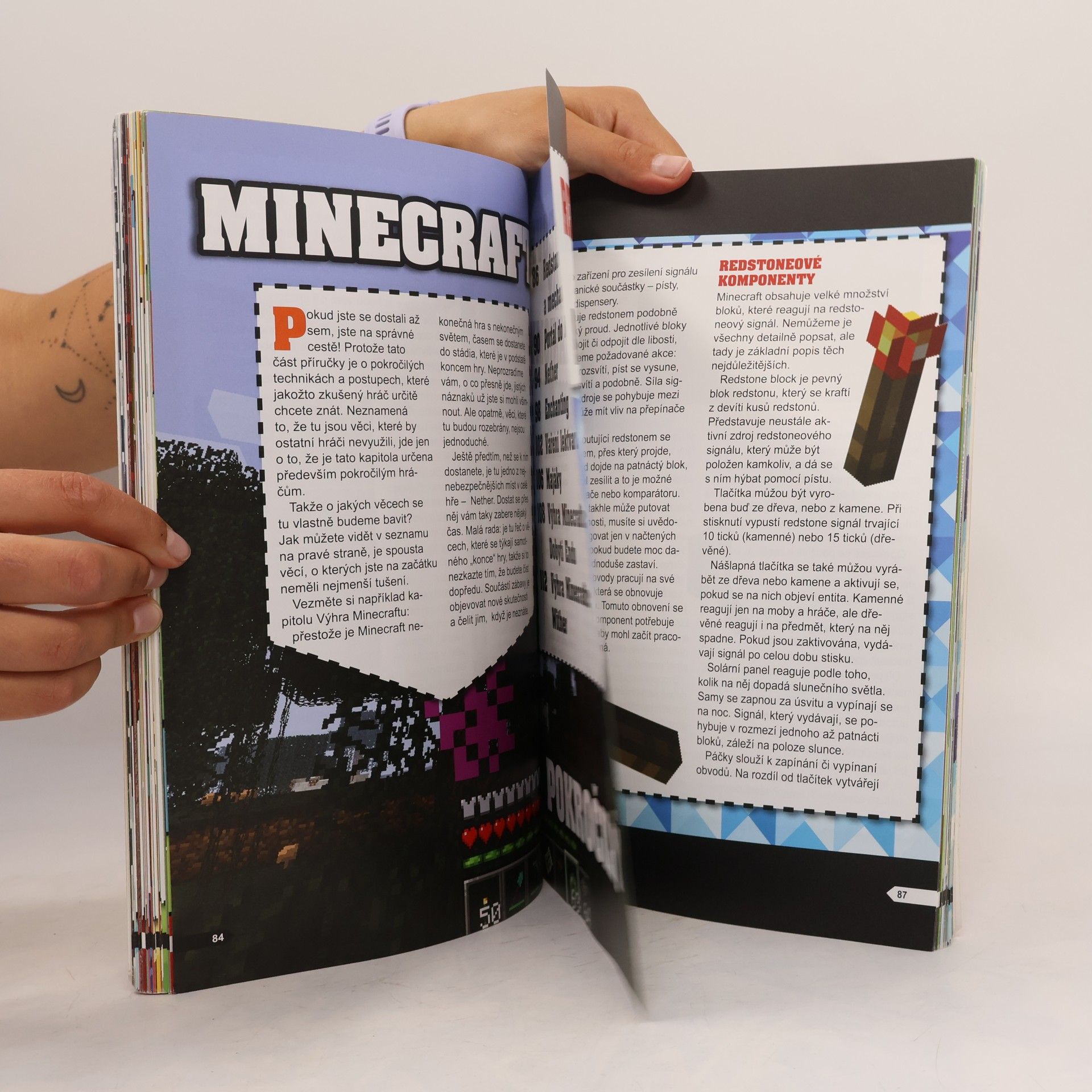 Jakub Kříž Minecraft: Staň se mistrem!