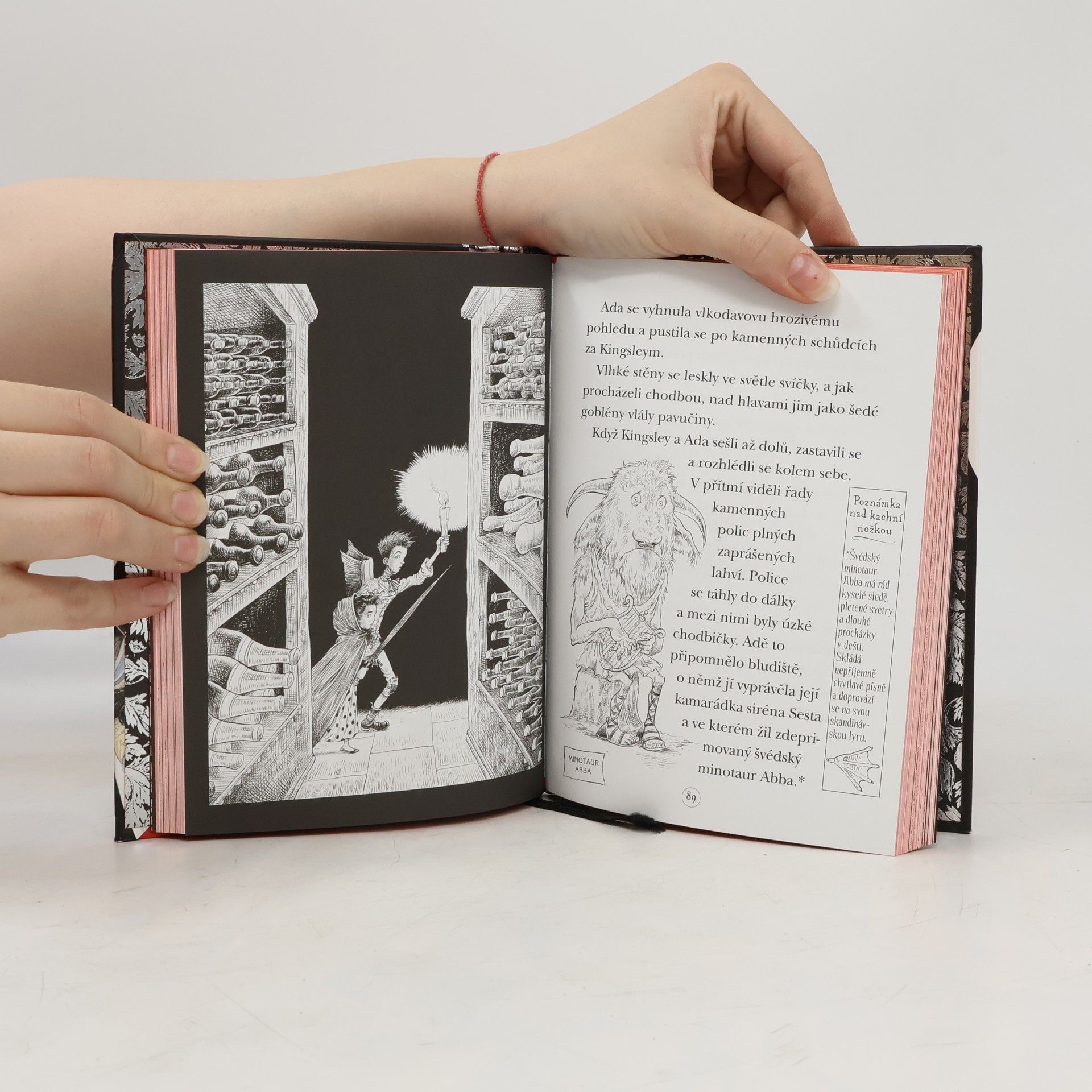 Chris Riddell Ada a hrůzostrašná slavnost