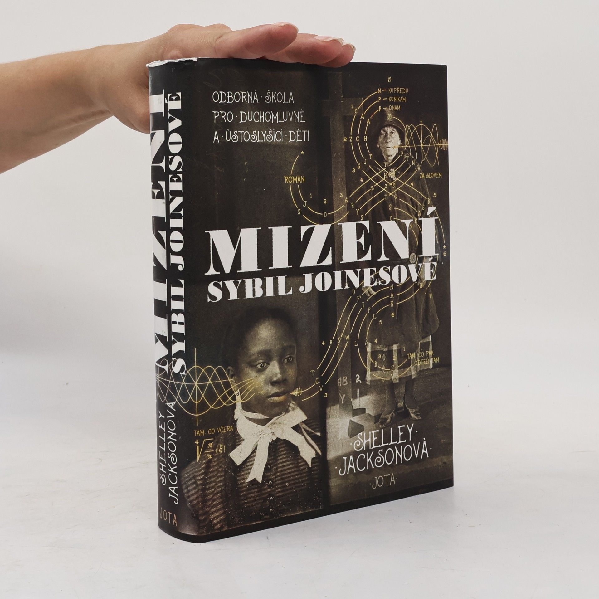 Shelley Jackson Mizení Sybil Joinesové