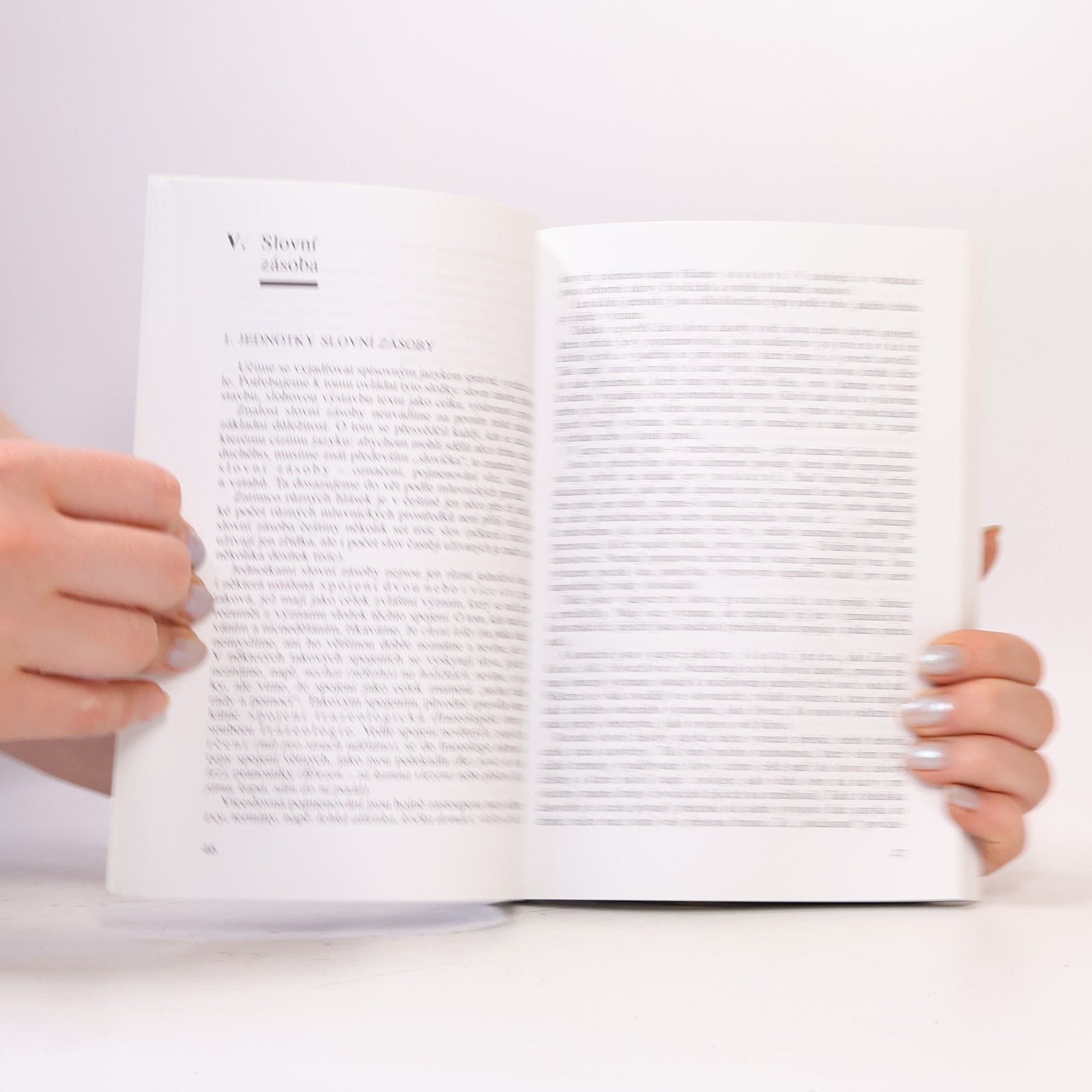 Autorenkollektiv Český jazyk pro střední školy I.-IV. ročník