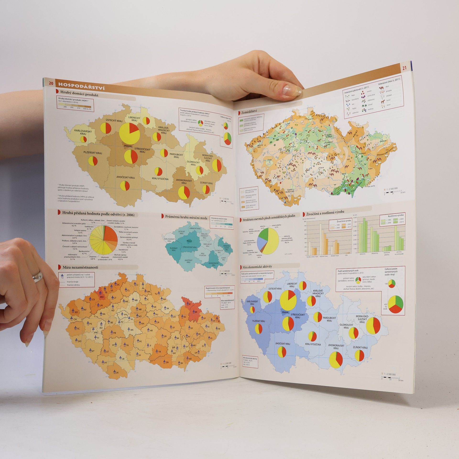 Autorenkollektiv Česká republika školní atlas pro základní školy a víceletá gymnázia
