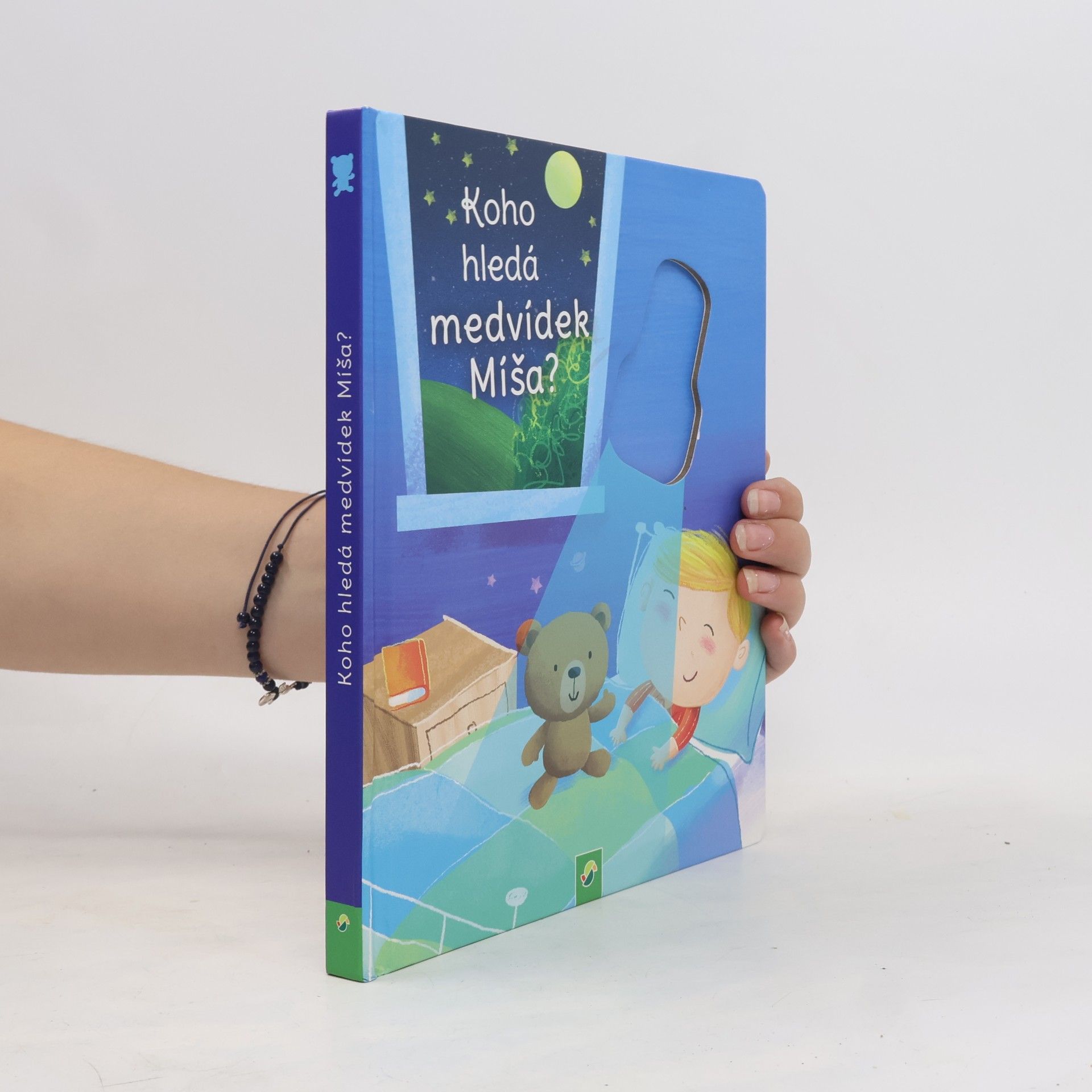 Kolektiv autorů Koho hledá medvídek Míša?