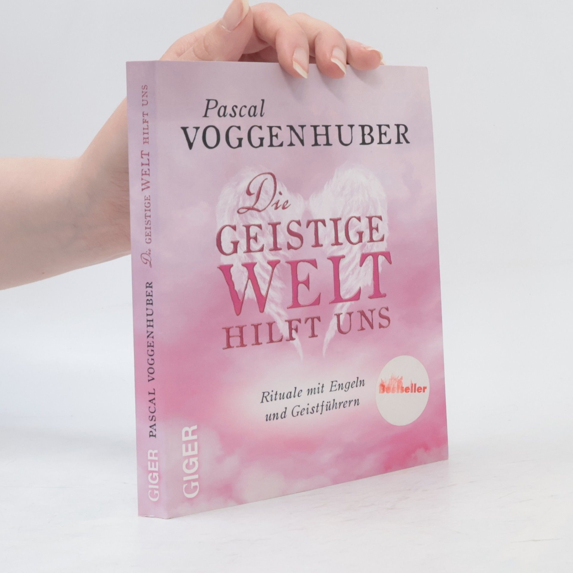 Pascal Voggenhuber Die geistige Welt hilft uns