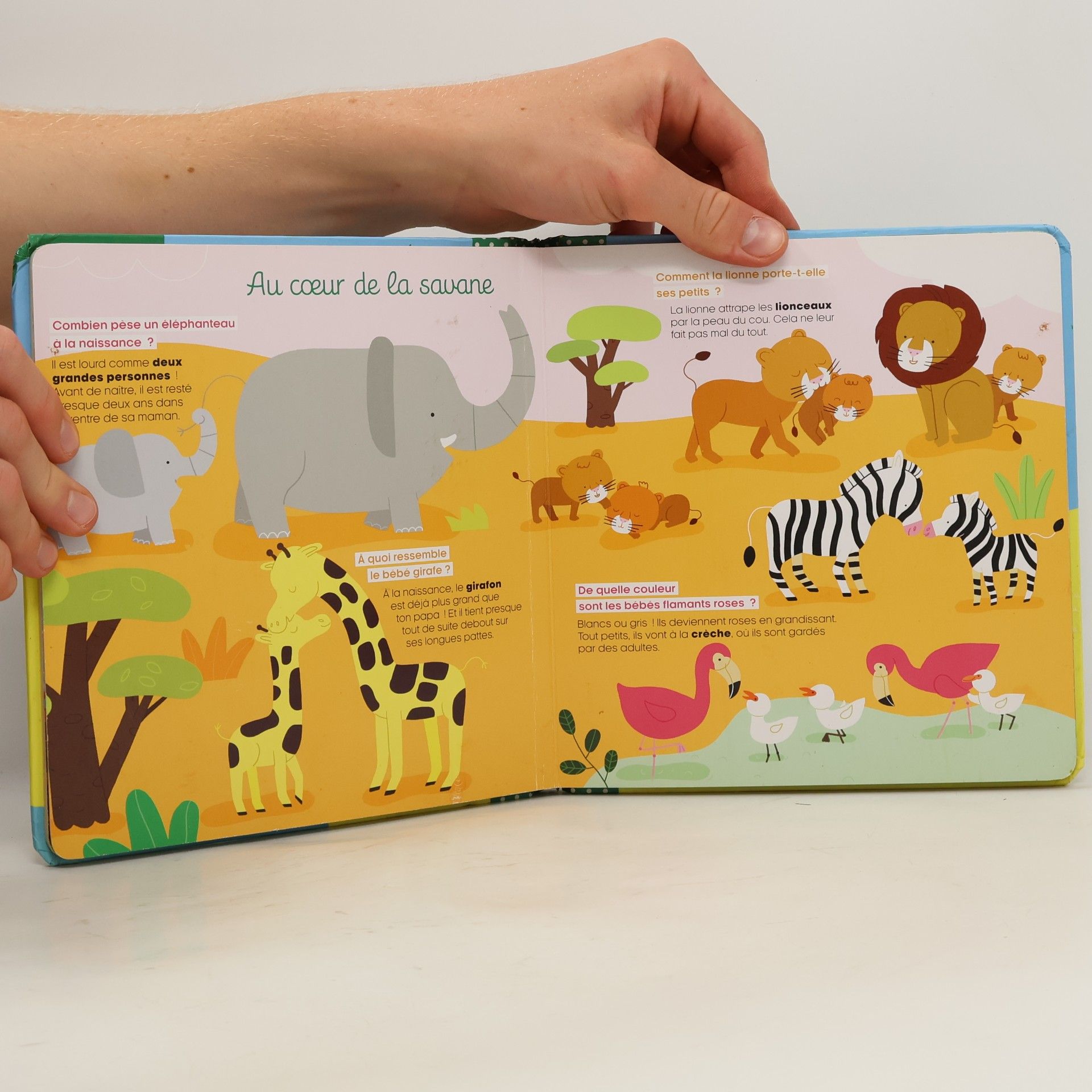 Sophie de Mullenheim Les animaux et leurs petits - livre à volets