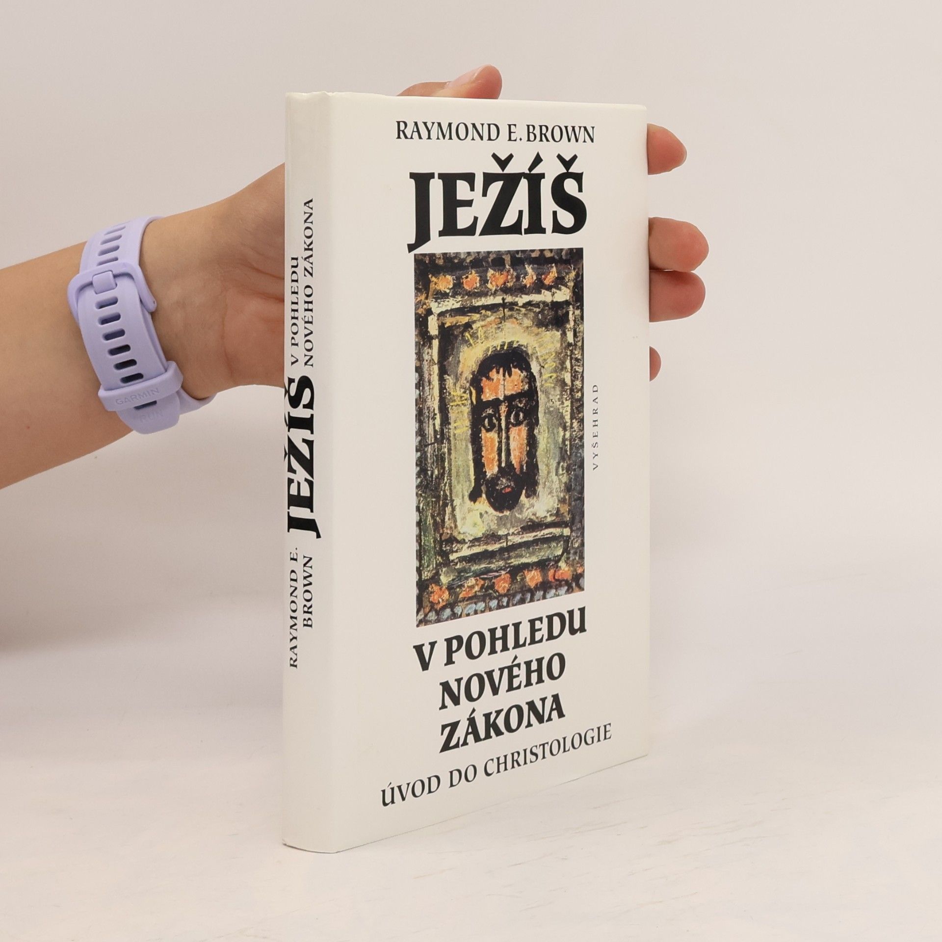 Raymond E. Brown Ježíš v pohledu Nového zákona