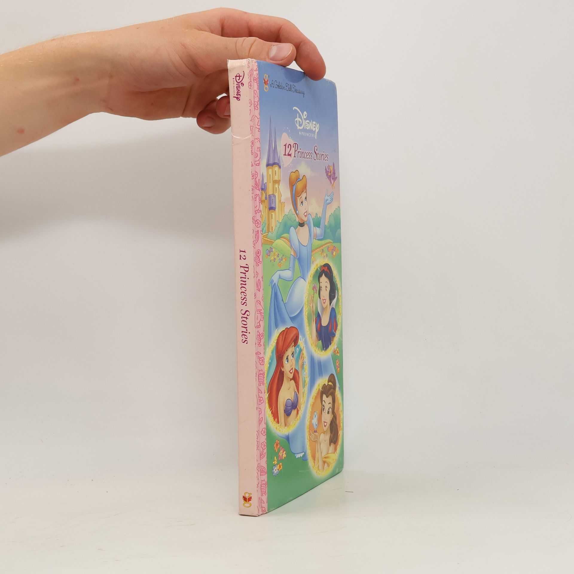 Walt Disney Company Disney Princess: 12 Princess Stories
