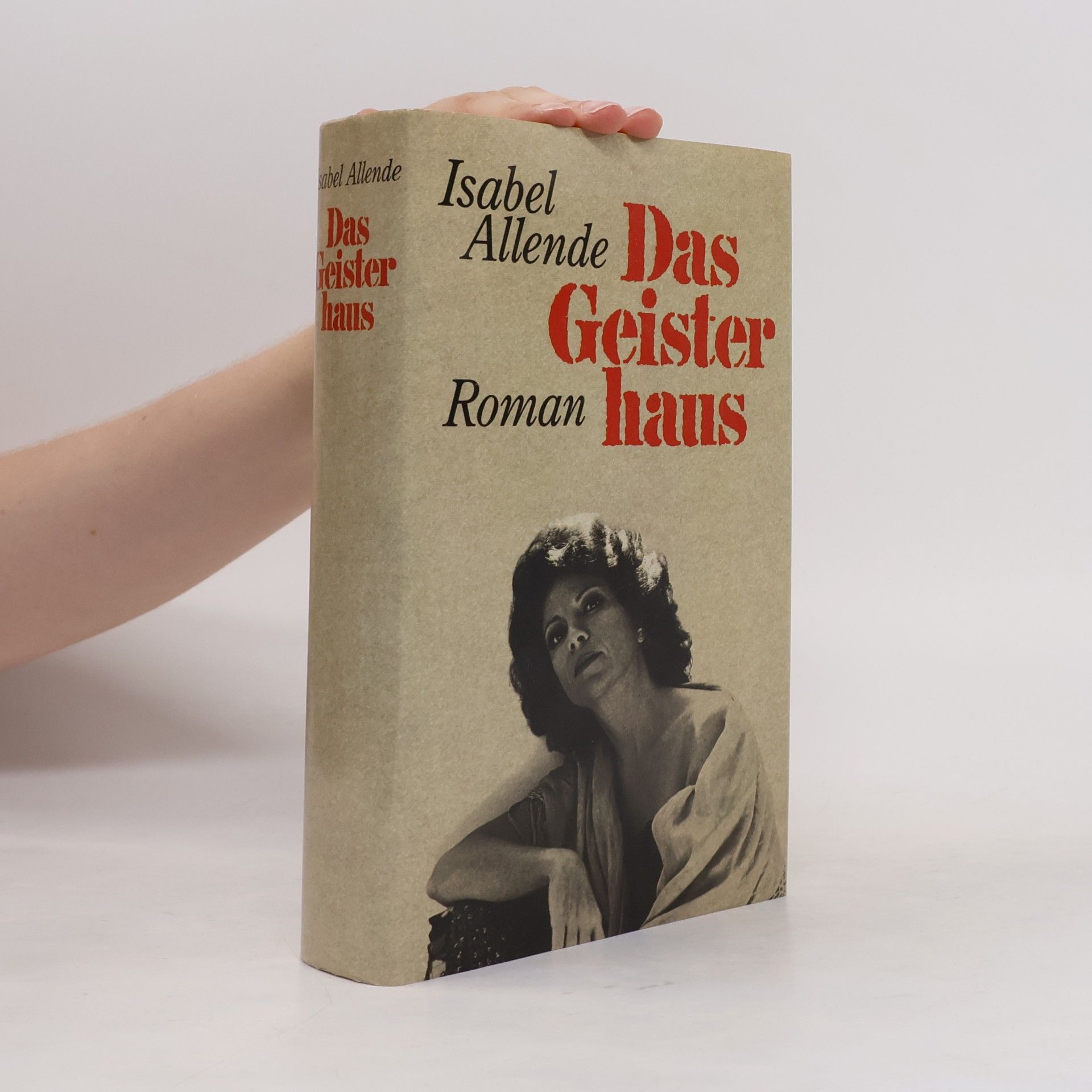 Isabel Allende Llona Das Geisterhaus