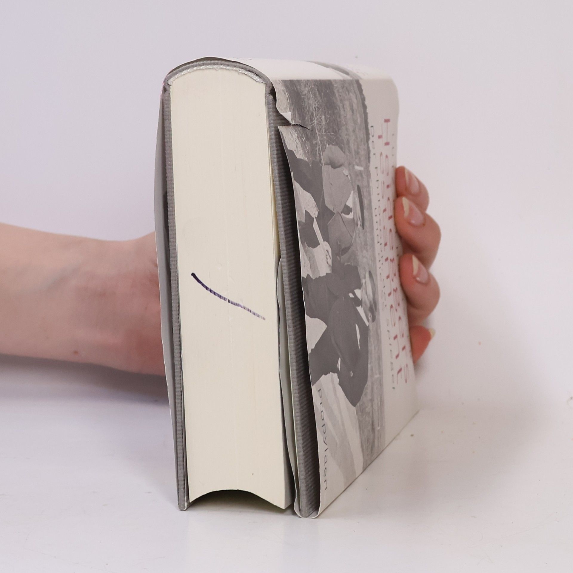 Lutz Hachmeister Heideggers Testament
