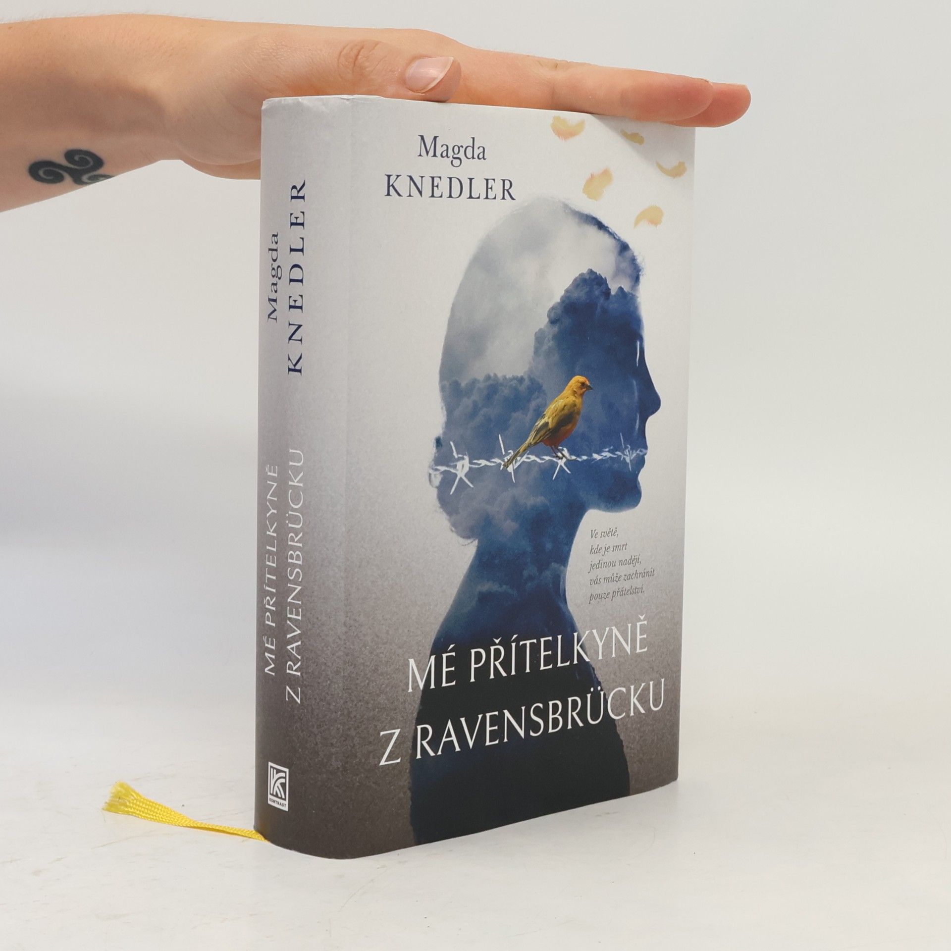 Magdalena Knedler Mé přítelkyně z Ravensbrücku