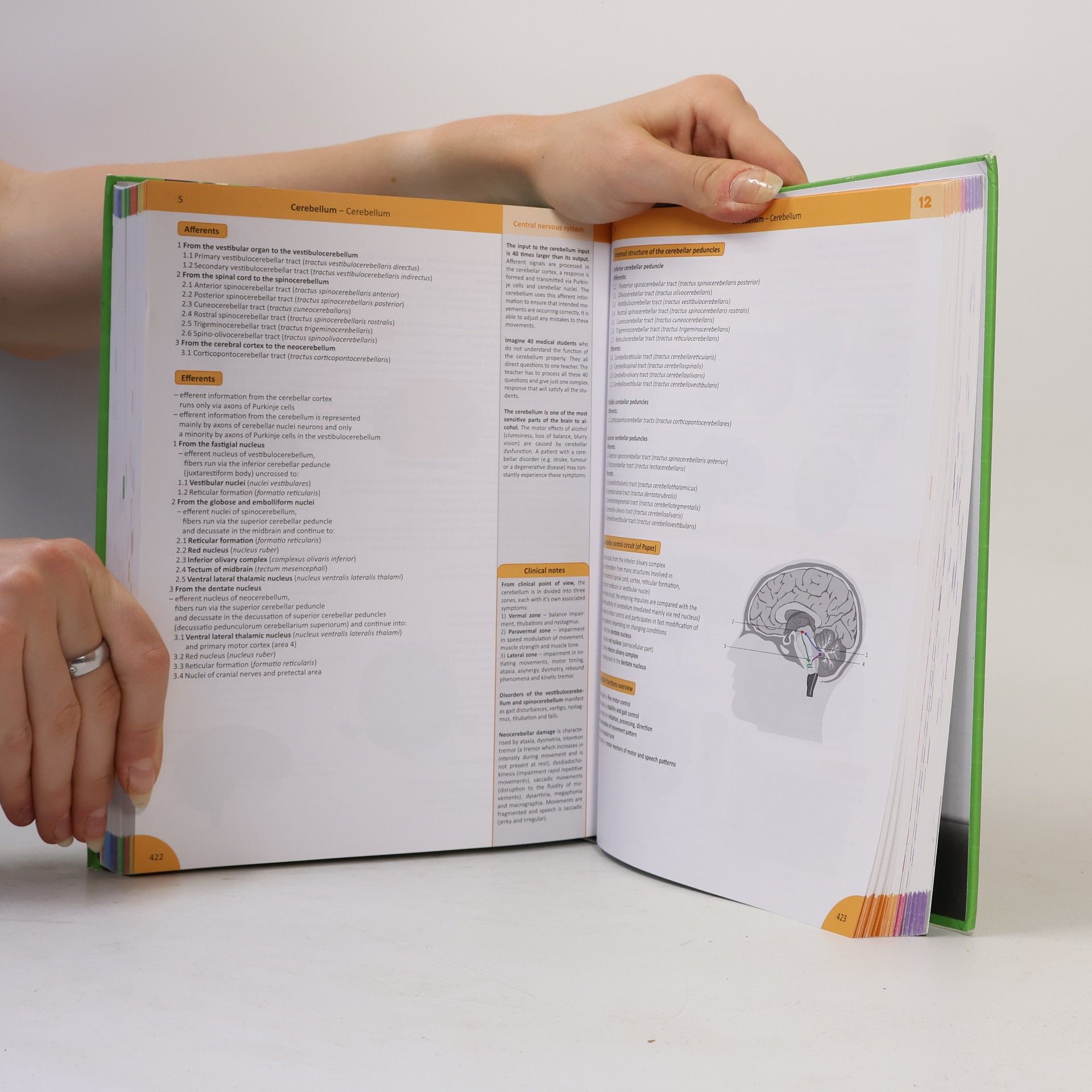 Radovan Hudák Memorix Anatomy