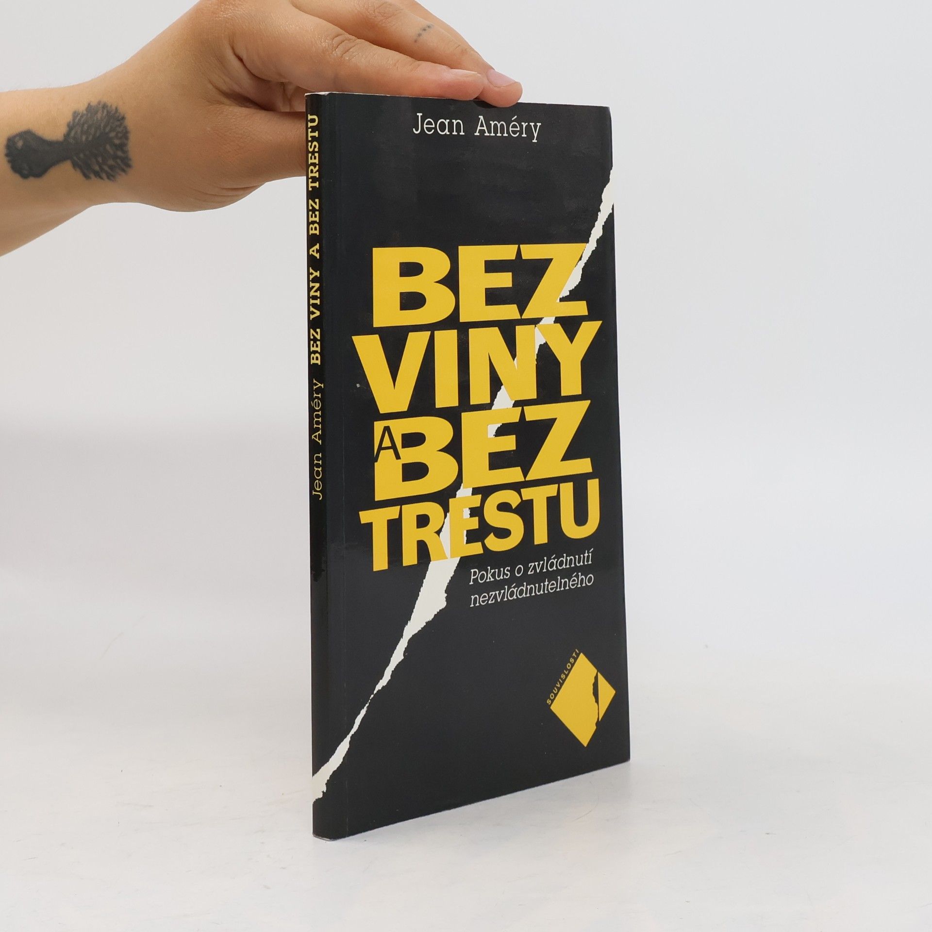 Jean Améry Bez viny, bez trestu