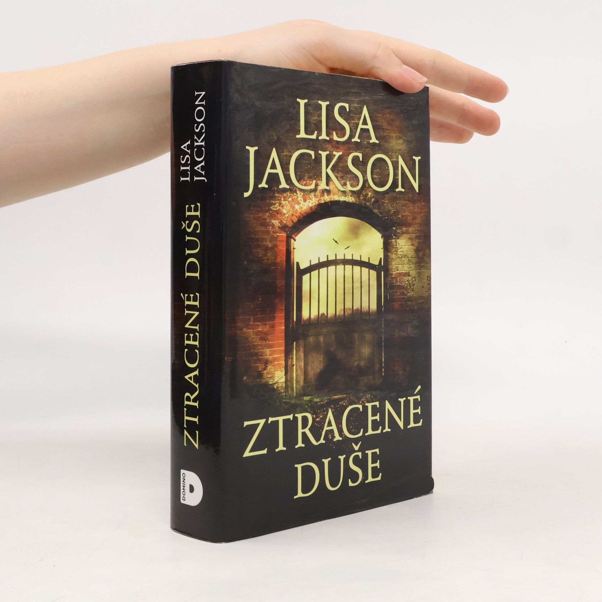Lisa Jackson Ztracené duše