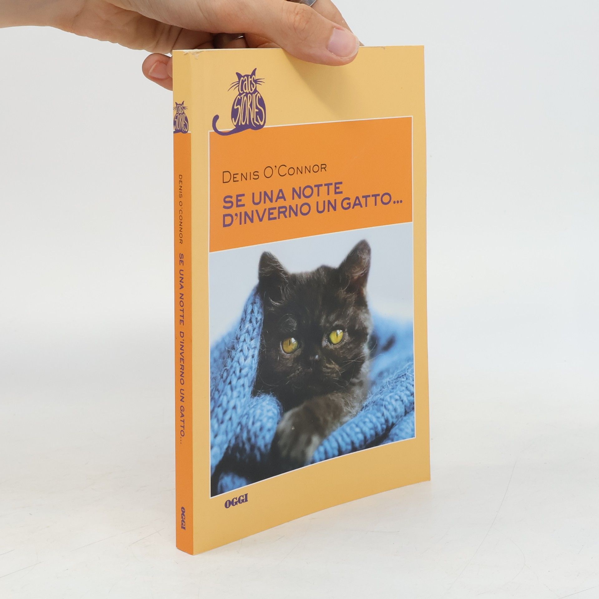 Se una notte d'inverno un gatto