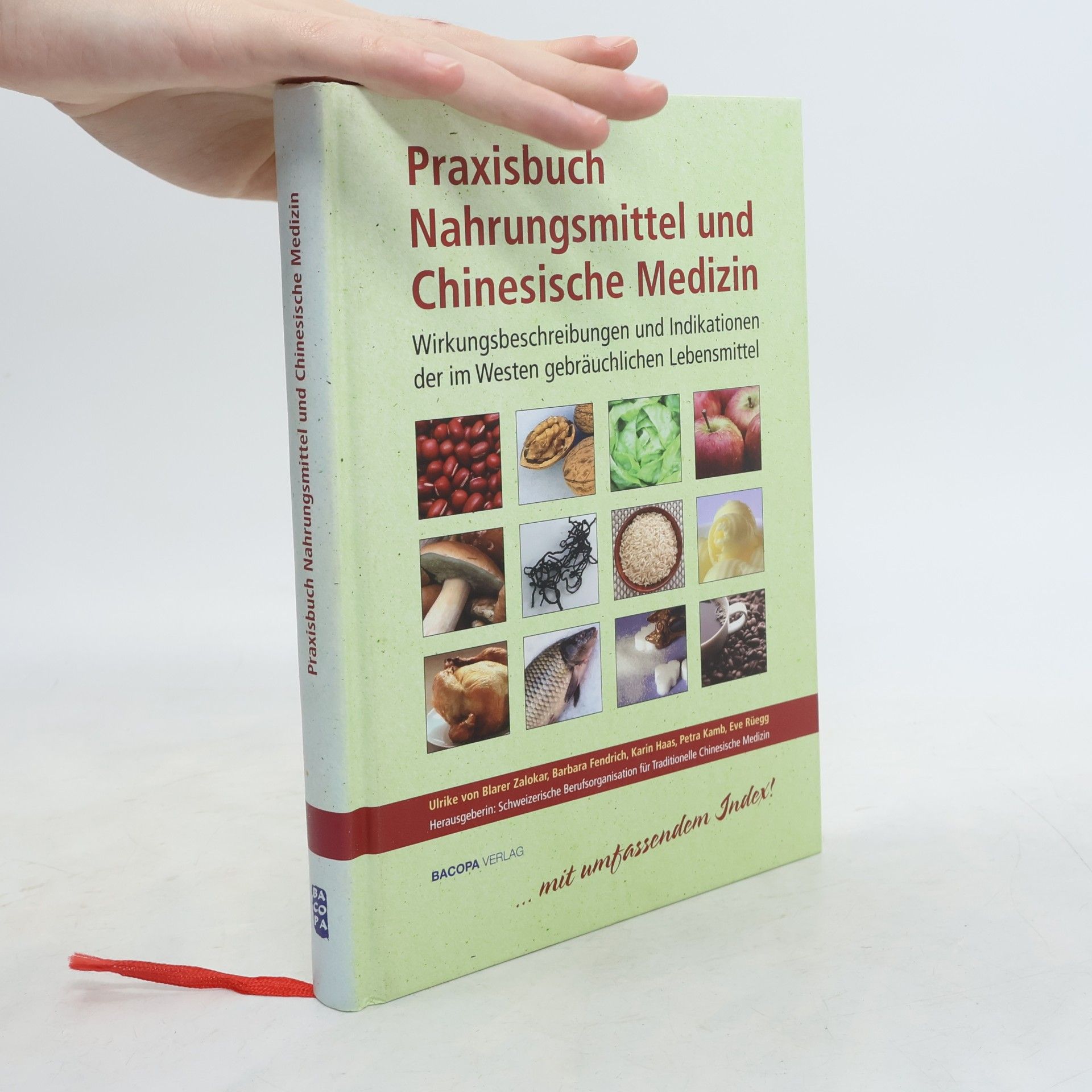 Kolektív autorov Praxisbuch Nahrungsmittel und chinesische Medizin