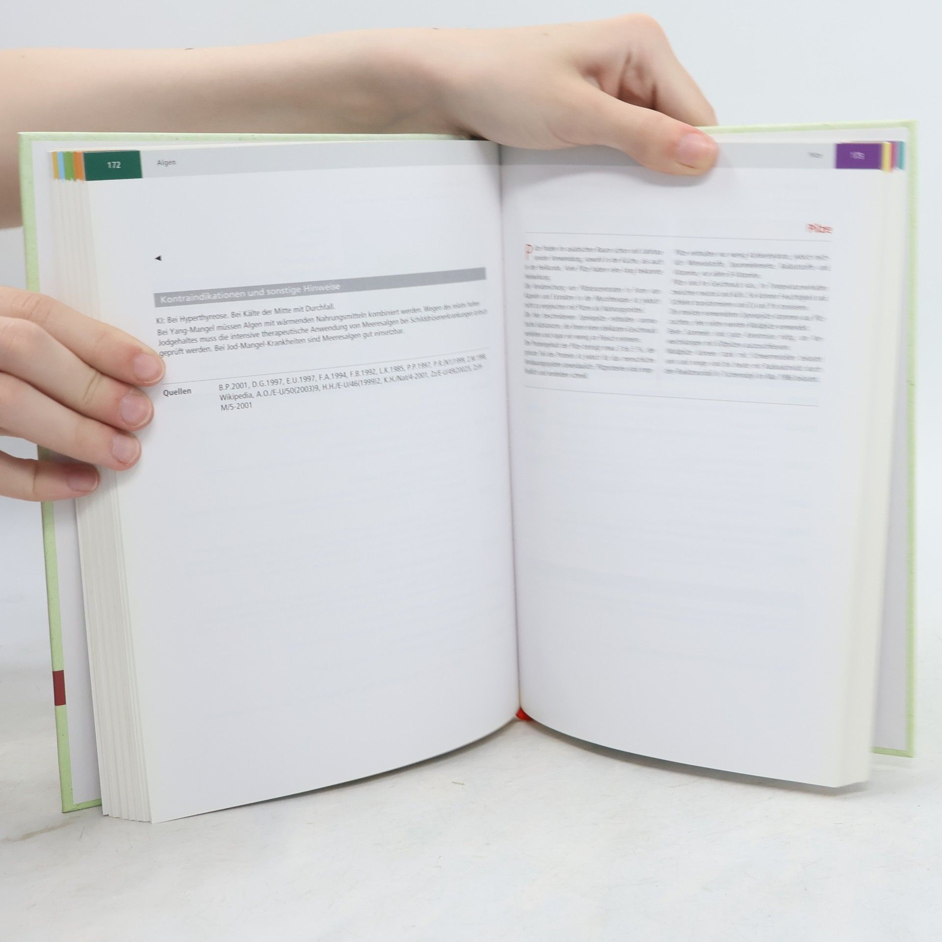 Praxisbuch Nahrungsmittel und chinesische Medizin